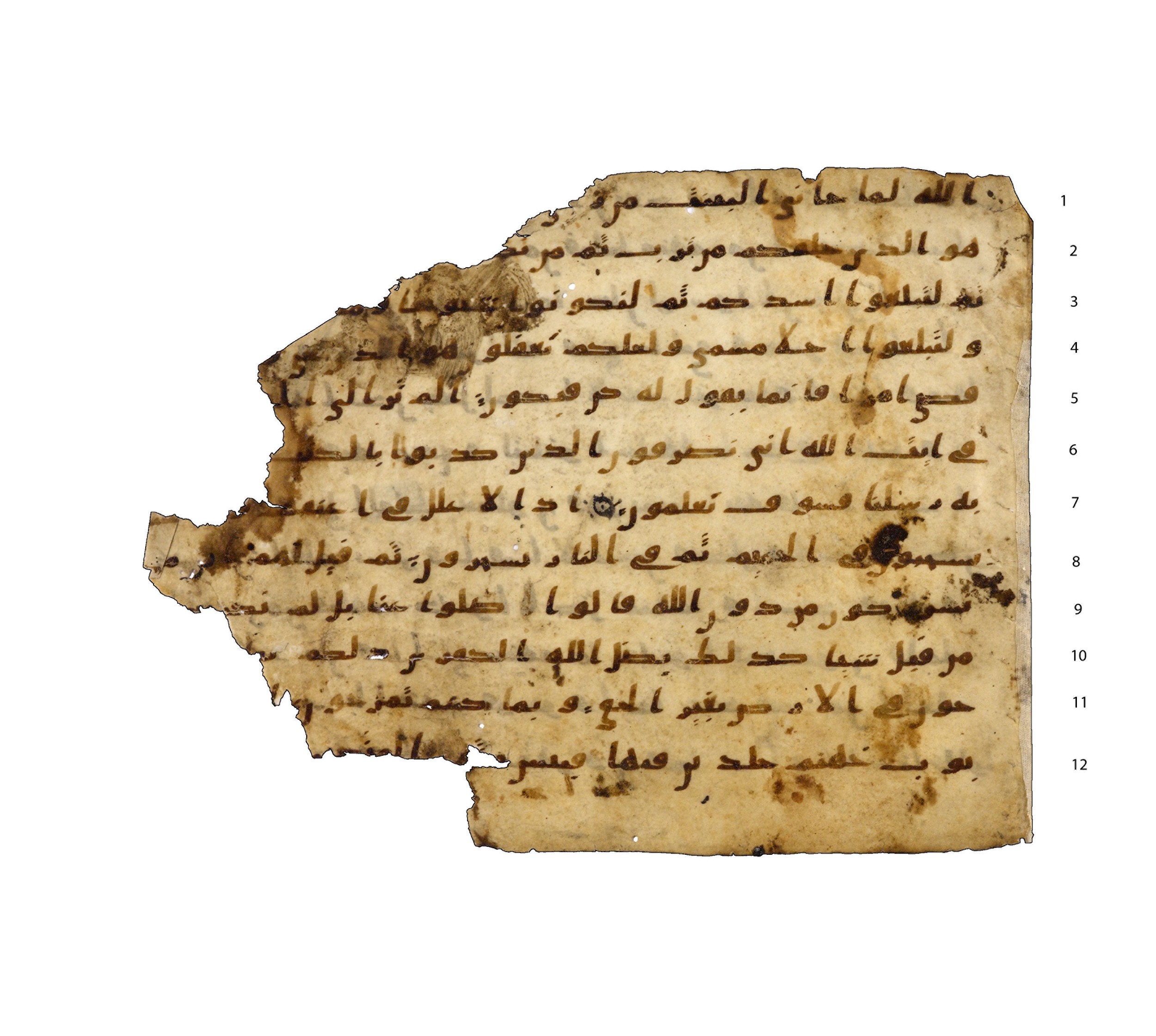Codex Amrensis 1, in Ḥiǧāzī I script, showing Surah 40:71 from Early to Mid 8th Century AD found in Fustat (Old Cairo), Egypt, currently housed at Bibliothèque nationale de France, Paris
