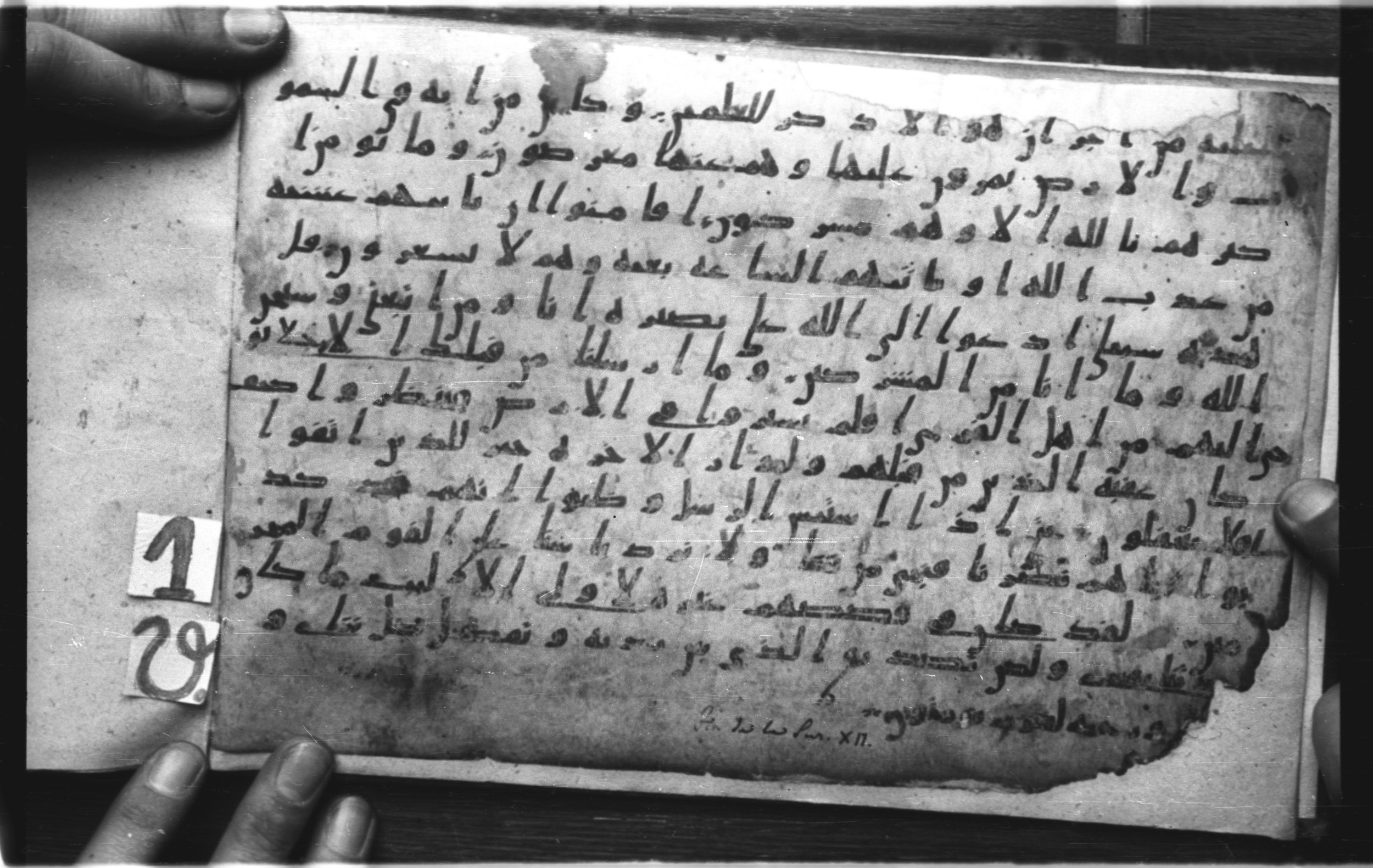 Codex Amrensis 1 (Scan 1), in Ḥiǧāzī I script, showing Surah 12:110 from Early to Mid 8th Century AD found in Fustat (Old Cairo), Egypt, currently housed at Bibliothèque nationale de France, Paris