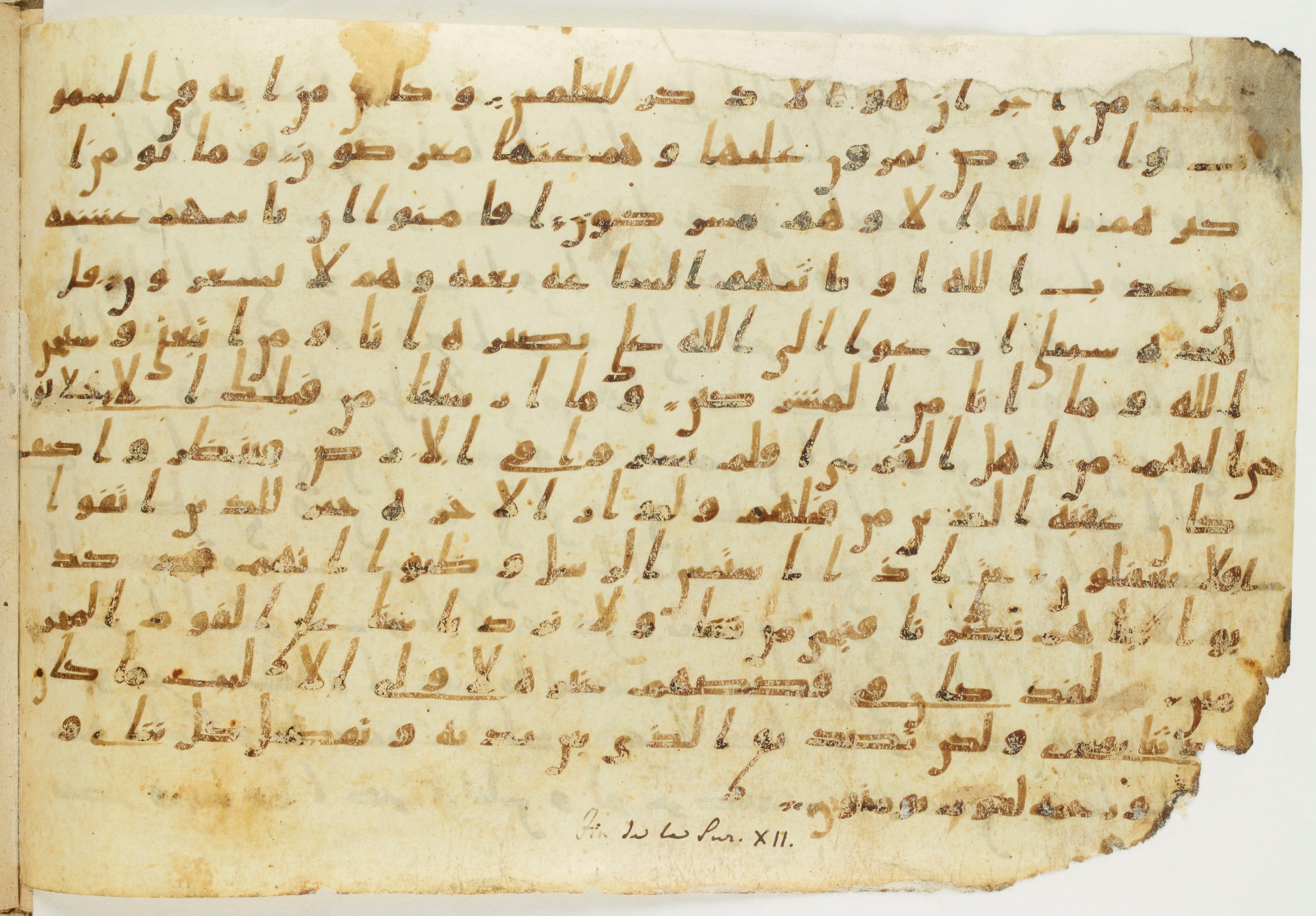 Codex Amrensis 1 (Scan 2), in Ḥiǧāzī I script, showing Surah 12:110 from Early to Mid 8th Century AD found in Fustat (Old Cairo), Egypt, currently housed at Bibliothèque nationale de France, Paris