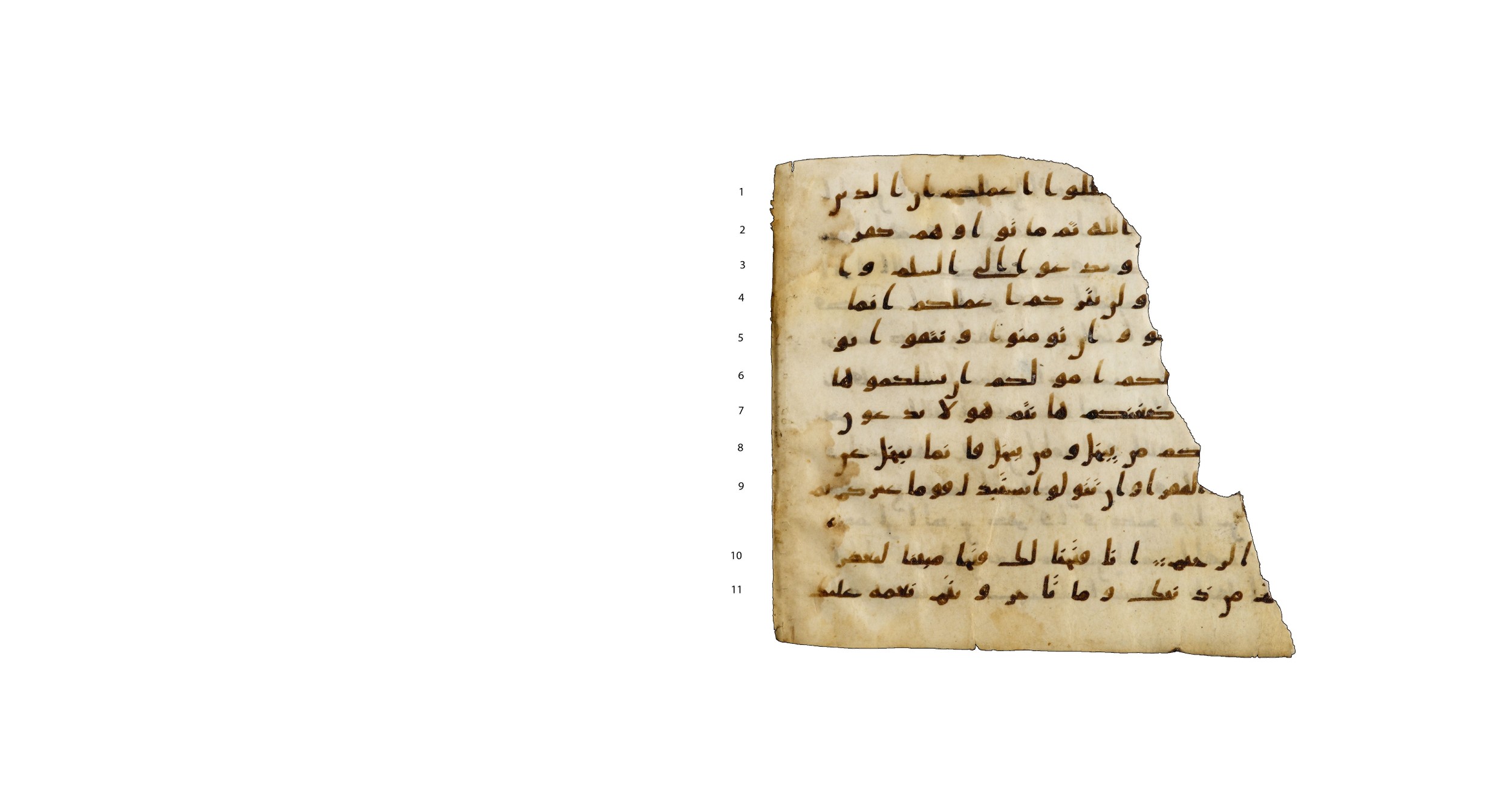 Codex Amrensis 1, in Ḥiǧāzī I script, showing Surah 48:1 from Early to Mid 8th Century AD found in Fustat (Old Cairo), Egypt, currently housed at Bibliothèque nationale de France, Paris