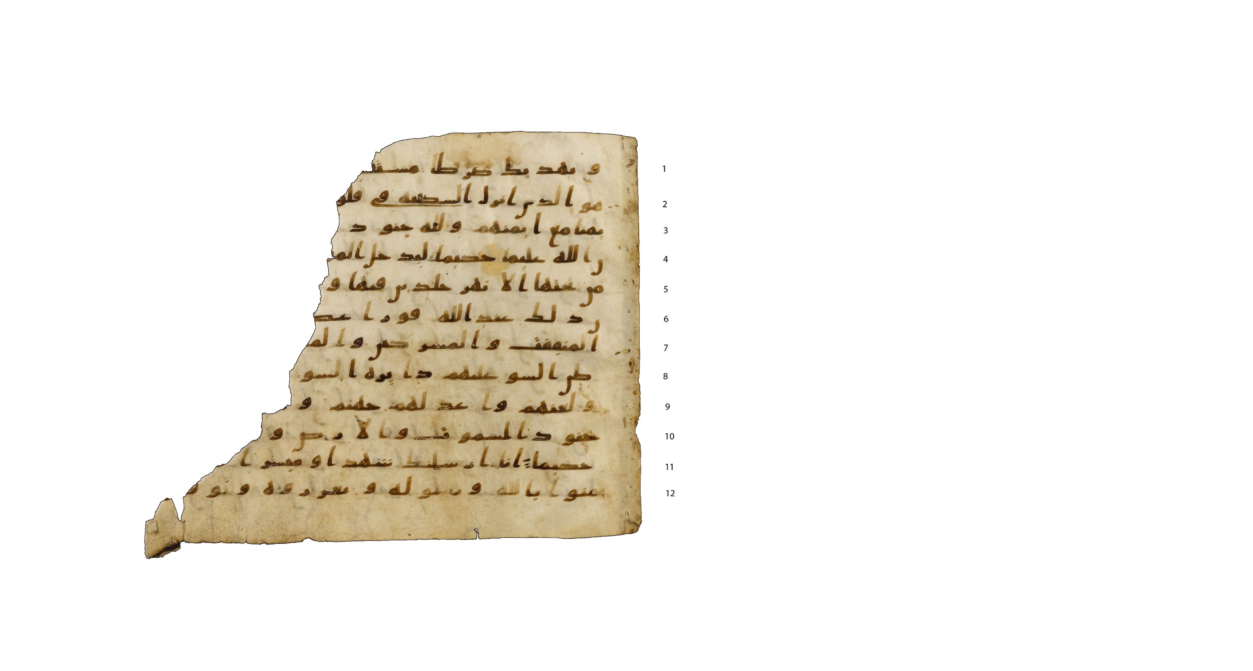 Codex Amrensis 1, in Ḥiǧāzī I script, showing Surah 48:3 from Early to Mid 8th Century AD found in Fustat (Old Cairo), Egypt, currently housed at Bibliothèque nationale de France, Paris