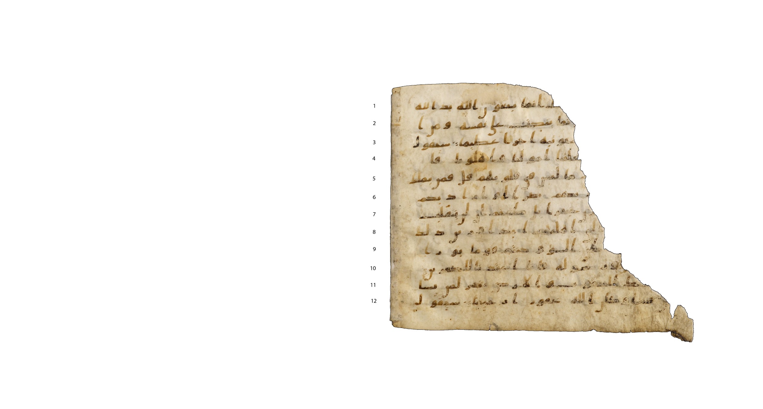 Codex Amrensis 1 (Scan 2), in Ḥiǧāzī I script, showing Surah 48:9 from Early to Mid 8th Century AD found in Fustat (Old Cairo), Egypt, currently housed at Bibliothèque nationale de France, Paris