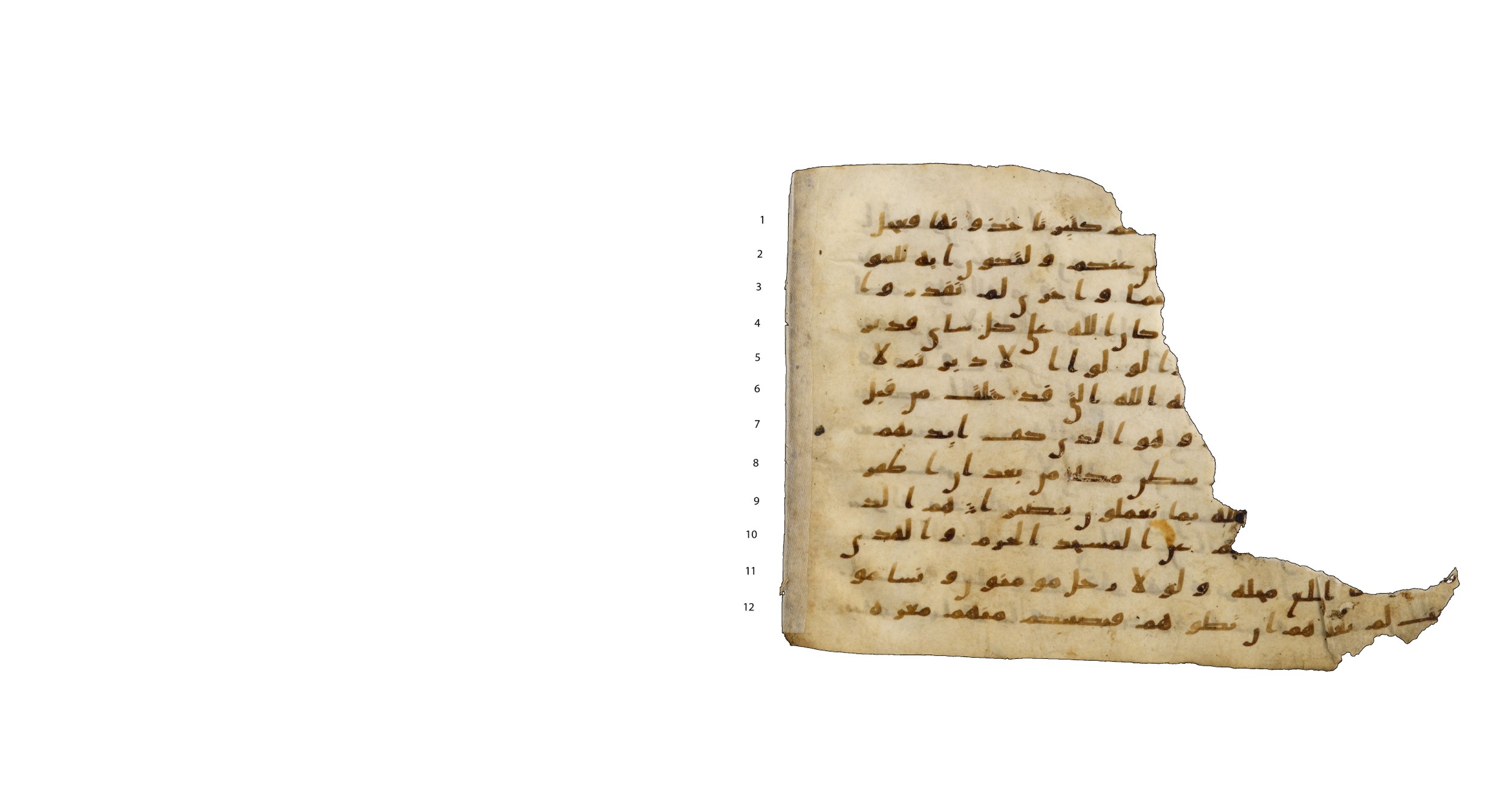 Codex Amrensis 1, in Ḥiǧāzī I script, showing Surah 48:21 from Early to Mid 8th Century AD found in Fustat (Old Cairo), Egypt, currently housed at Bibliothèque nationale de France, Paris