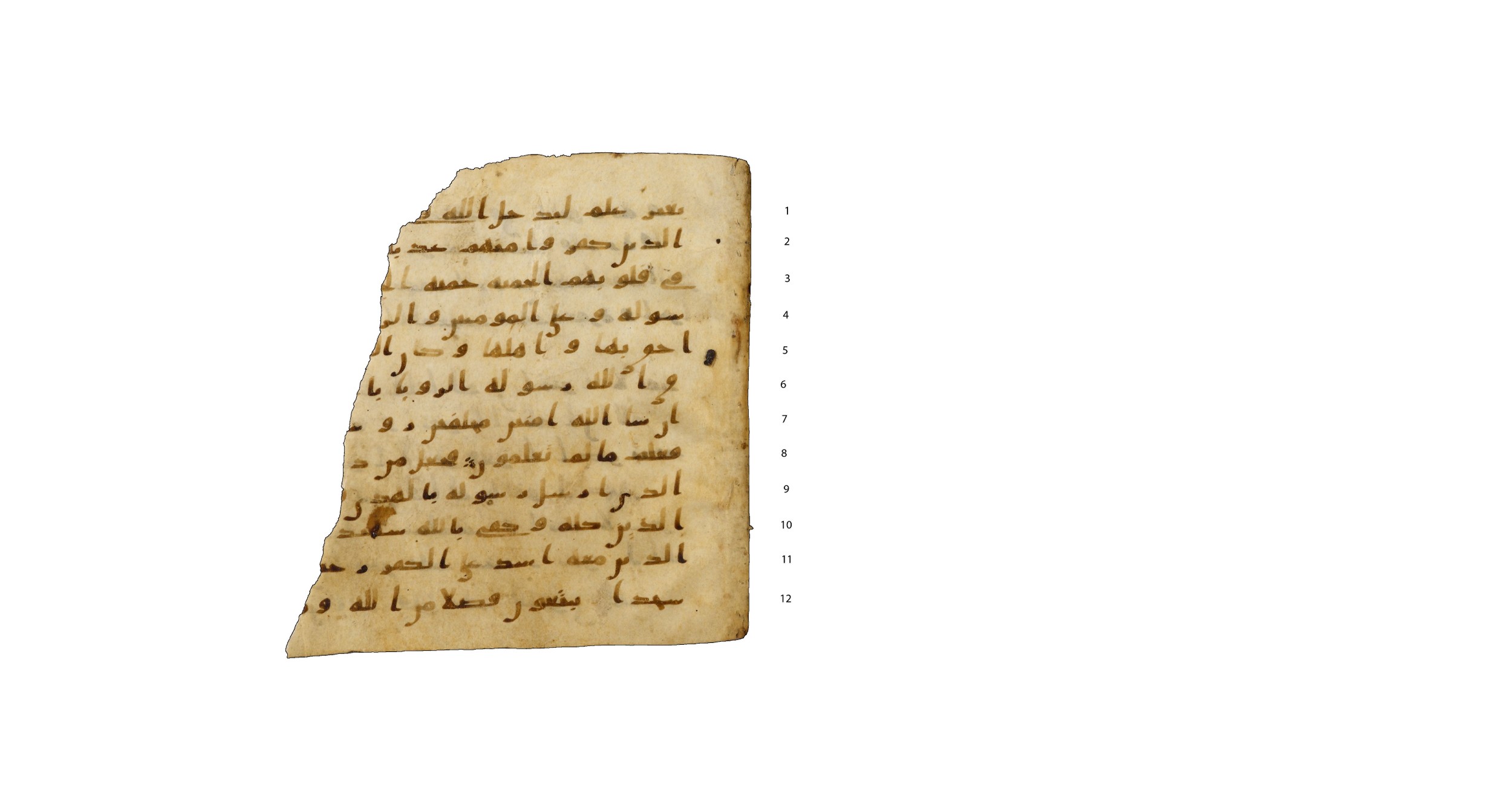 Codex Amrensis 1, in Ḥiǧāzī I script, showing Surah 48:28 from Early to Mid 8th Century AD found in Fustat (Old Cairo), Egypt, currently housed at Bibliothèque nationale de France, Paris