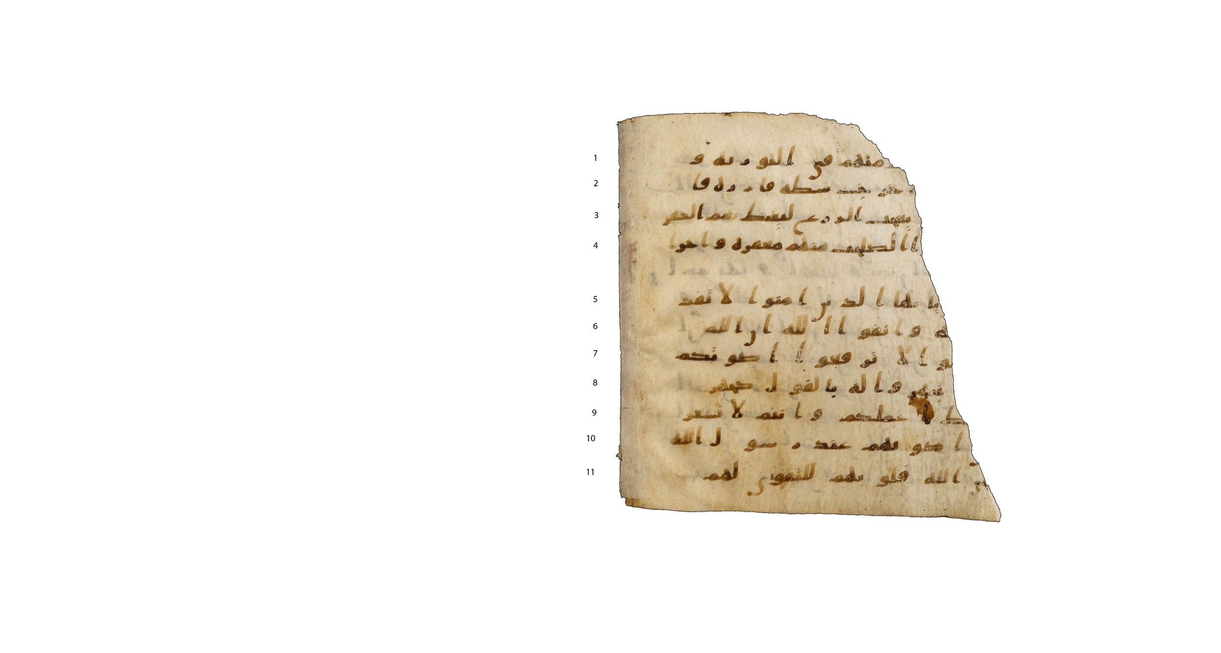 Codex Amrensis 1, in Ḥiǧāzī I script, showing Surah 49:2 from Early to Mid 8th Century AD found in Fustat (Old Cairo), Egypt, currently housed at Bibliothèque nationale de France, Paris