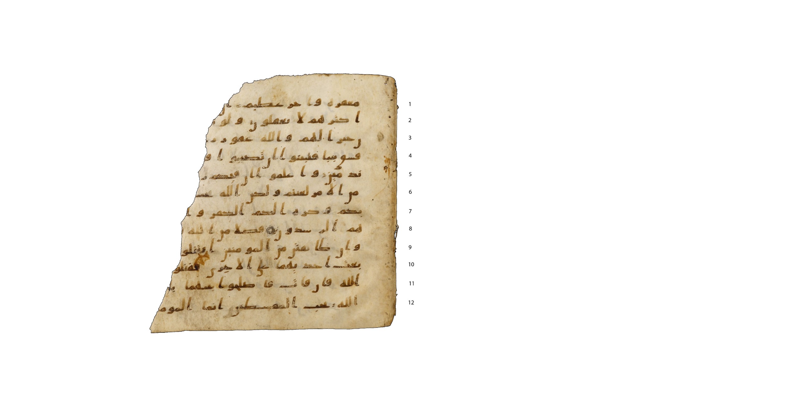 Codex Amrensis 1, in Ḥiǧāzī I script, showing Surah 49:4 from Early to Mid 8th Century AD found in Fustat (Old Cairo), Egypt, currently housed at Bibliothèque nationale de France, Paris