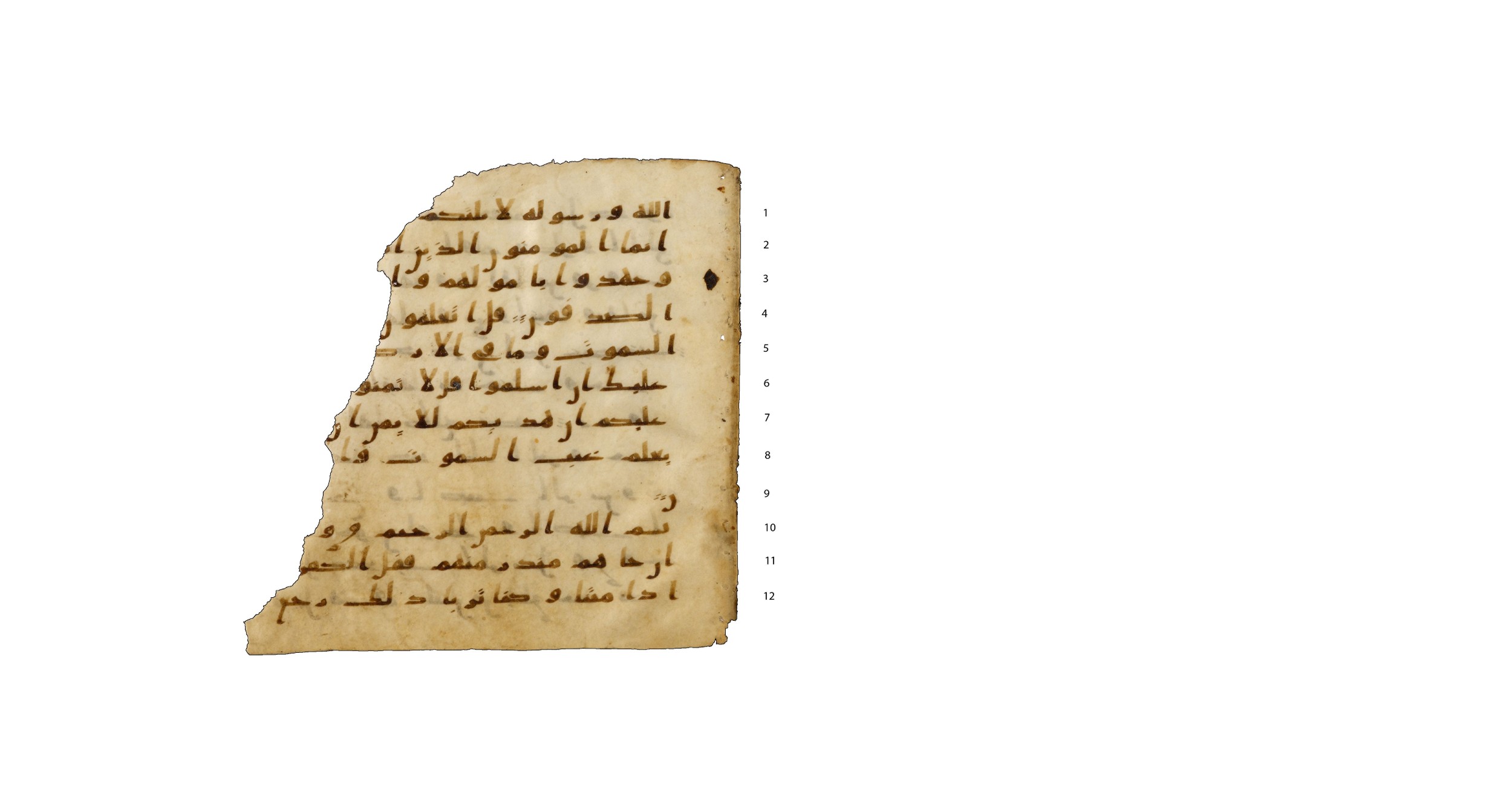 Codex Amrensis 1, in Ḥiǧāzī I script, showing Surah 49:18 from Early to Mid 8th Century AD found in Fustat (Old Cairo), Egypt, currently housed at Bibliothèque nationale de France, Paris