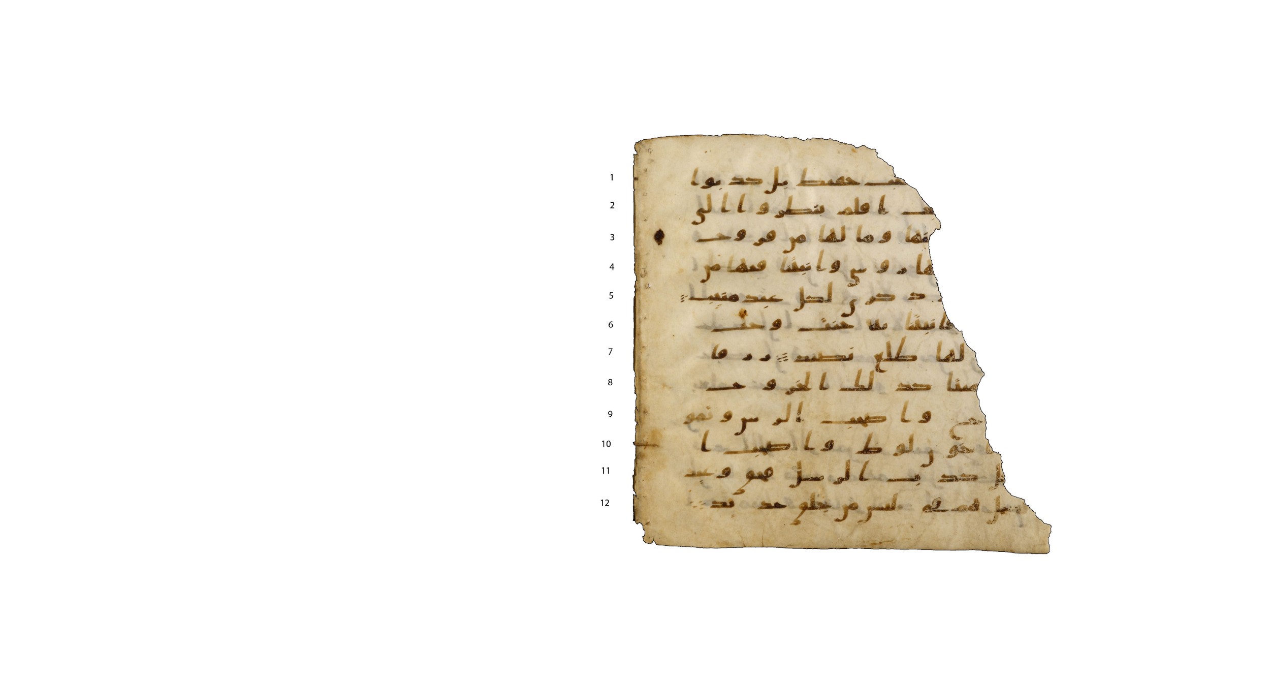 Codex Amrensis 1, in Ḥiǧāzī I script, showing Surah 50:7 from Early to Mid 8th Century AD found in Fustat (Old Cairo), Egypt, currently housed at Bibliothèque nationale de France, Paris