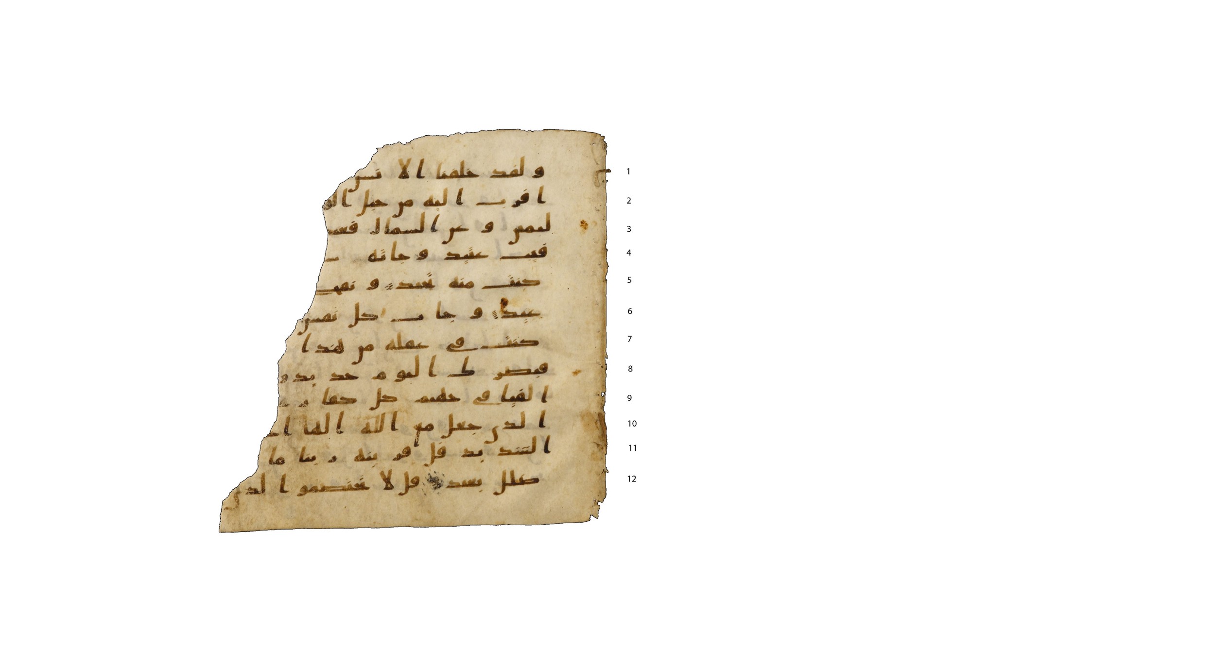Codex Amrensis 1, in Ḥiǧāzī I script, showing Surah 50:21 from Early to Mid 8th Century AD found in Fustat (Old Cairo), Egypt, currently housed at Bibliothèque nationale de France, Paris