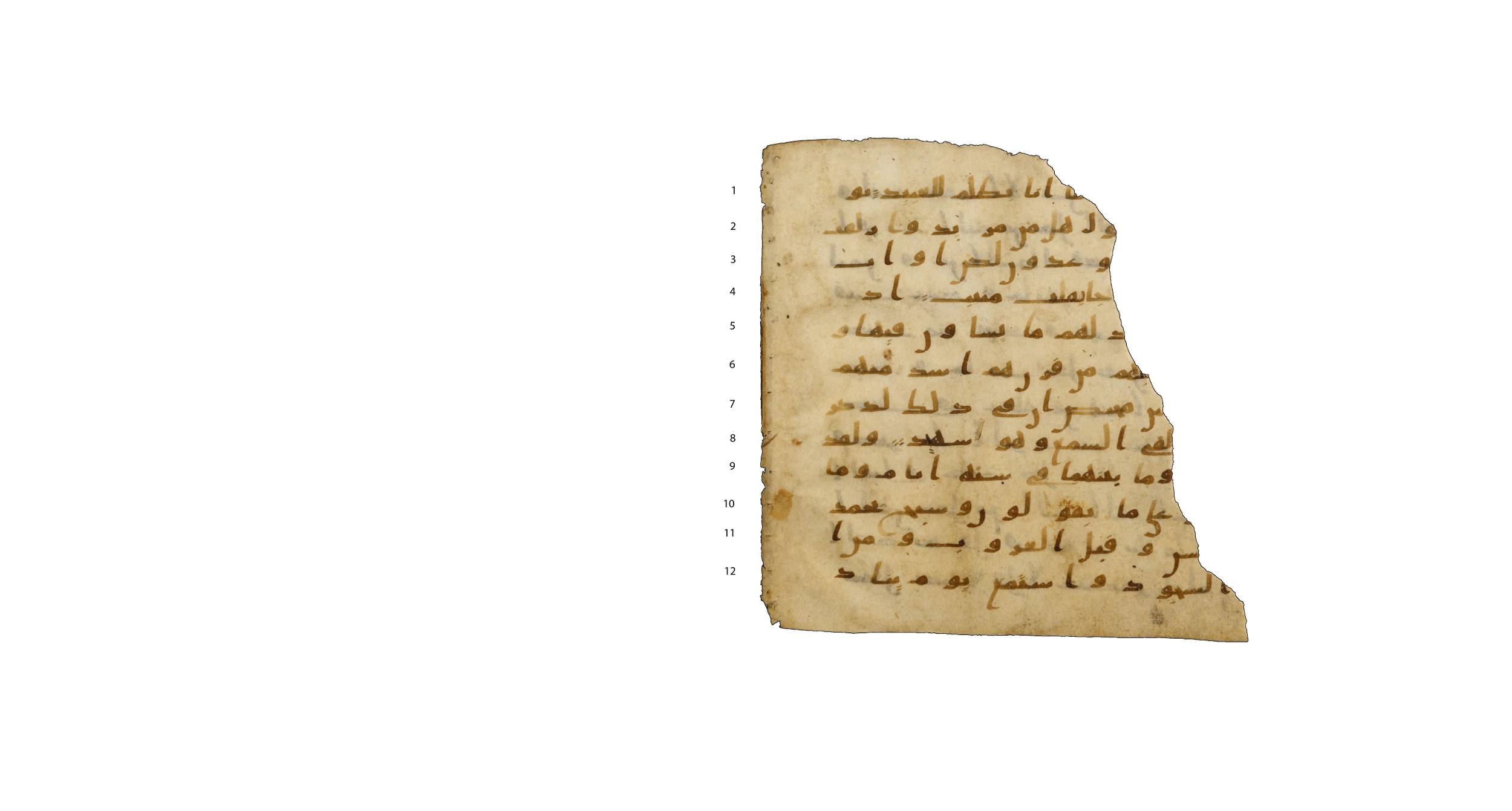Codex Amrensis 1, in Ḥiǧāzī I script, showing Surah 50:39 from Early to Mid 8th Century AD found in Fustat (Old Cairo), Egypt, currently housed at Bibliothèque nationale de France, Paris