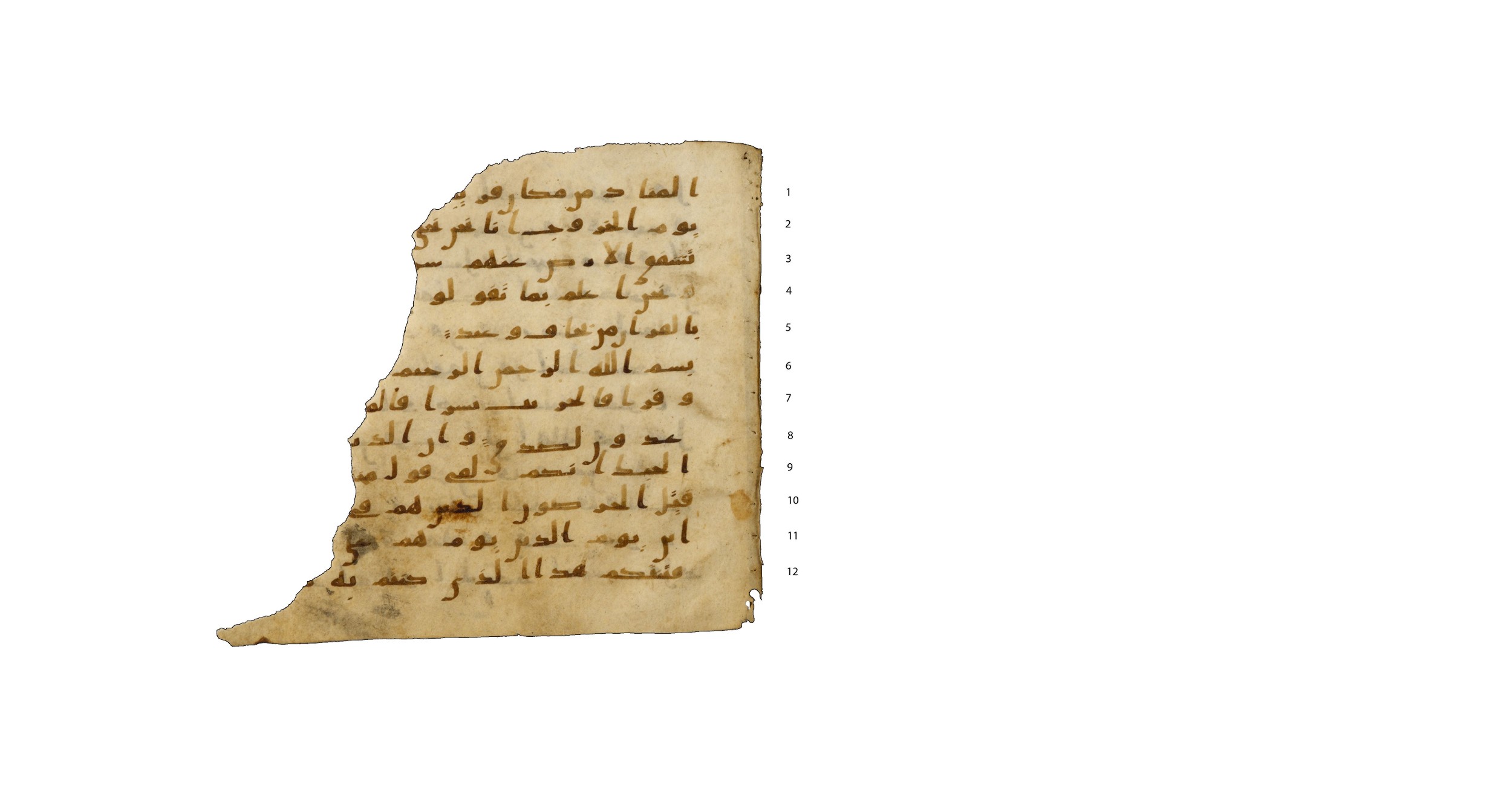 Codex Amrensis 1, in Ḥiǧāzī I script, showing Surah 51:13 from Early to Mid 8th Century AD found in Fustat (Old Cairo), Egypt, currently housed at Biblioth