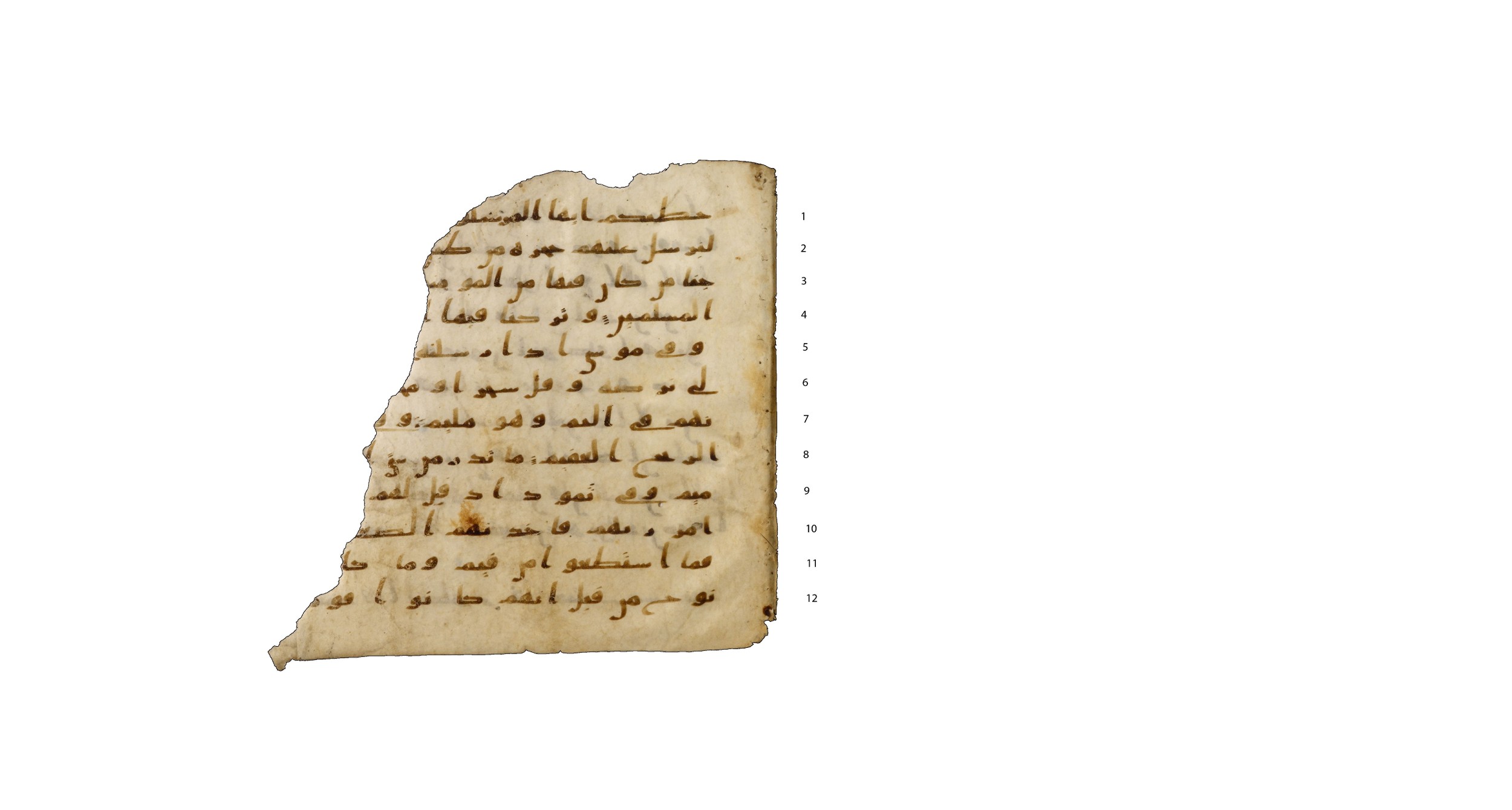 Codex Amrensis 1, in Ḥiǧāzī I script, showing Surah 51:32 from Early to Mid 8th Century AD found in Fustat (Old Cairo), Egypt, currently housed at Bibliothèque nationale de France, Paris
