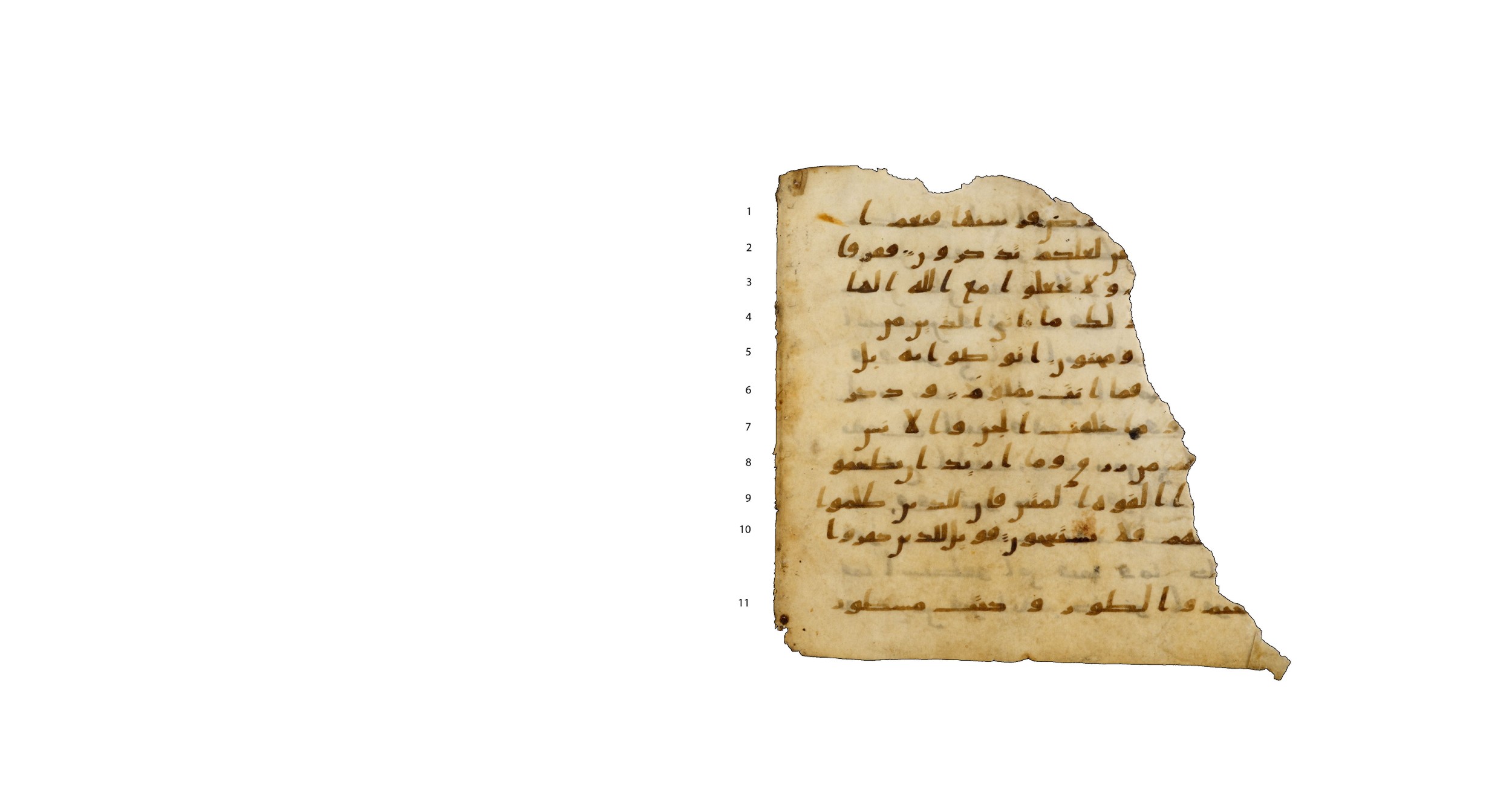 Codex Amrensis 1, in Ḥiǧāzī I script, showing Surah 52:2 from Early to Mid 8th Century AD found in Fustat (Old Cairo), Egypt, currently housed at Bibliothèque nationale de France, Paris