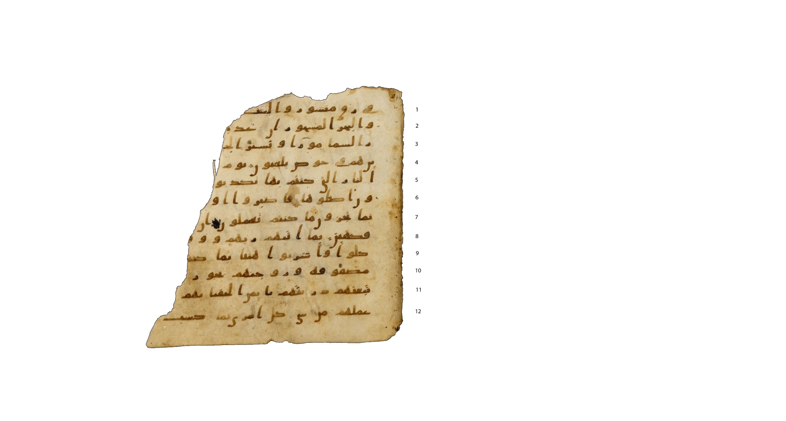 Codex Amrensis 1, in Ḥiǧāzī I script, showing Surah 52:21 from Early to Mid 8th Century AD found in Fustat (Old Cairo), Egypt, currently housed at Bibliothèque nationale de France, Paris