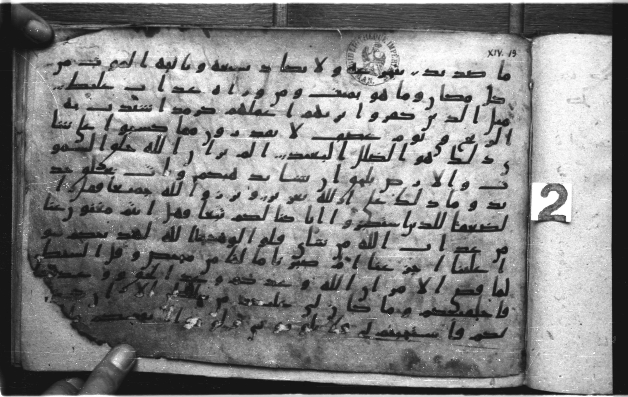 Codex Amrensis 1 (Scan 1), in Ḥiǧāzī I script, showing Surah 14:21 from Early to Mid 8th Century AD found in Fustat (Old Cairo), Egypt, currently housed at Bibliothèque nationale de France, Paris