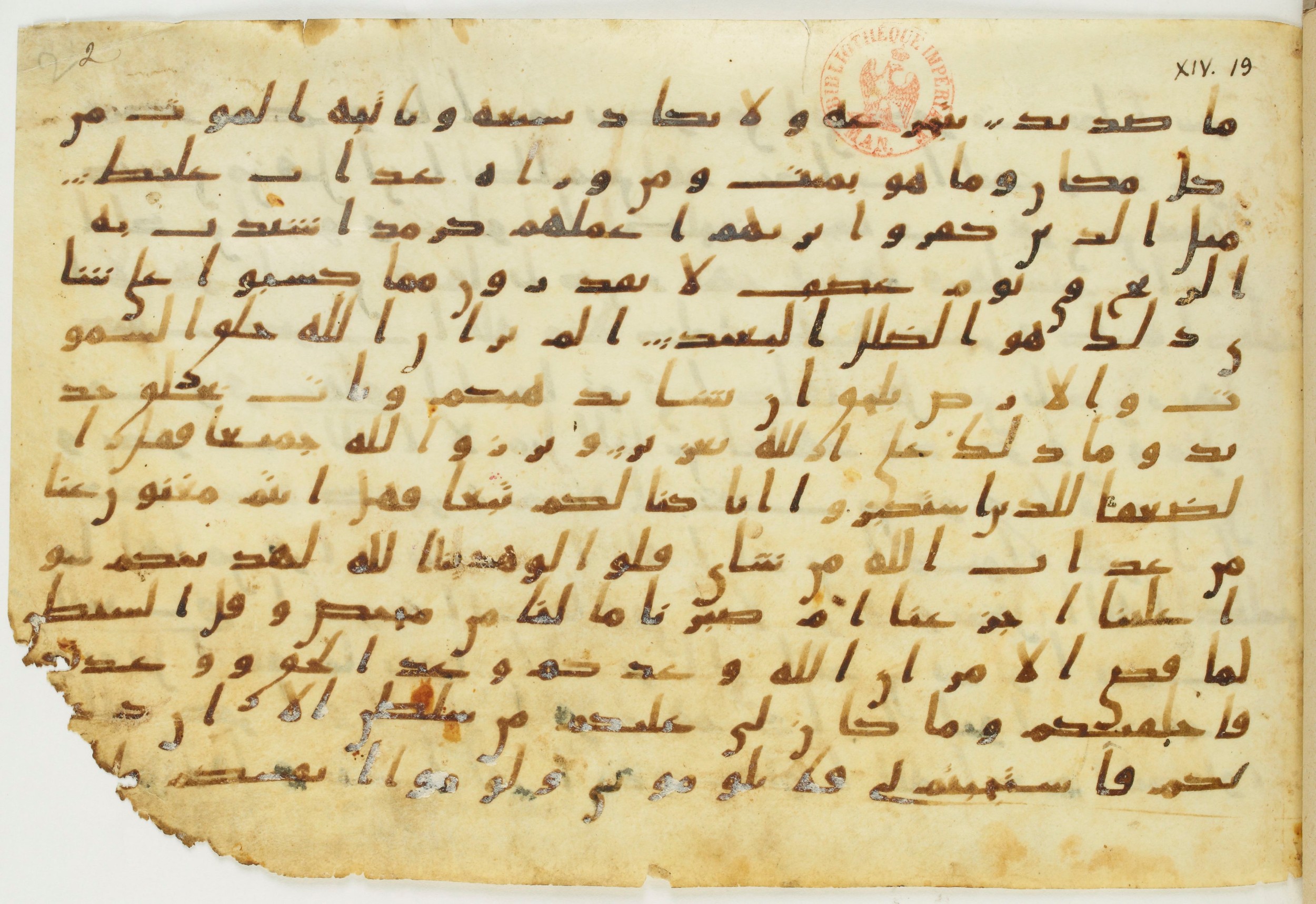 Codex Amrensis 1 (Scan 2), in Ḥiǧāzī I script, showing Surah 14:21 from Early to Mid 8th Century AD found in Fustat (Old Cairo), Egypt, currently housed at Bibliothèque nationale de France, Paris