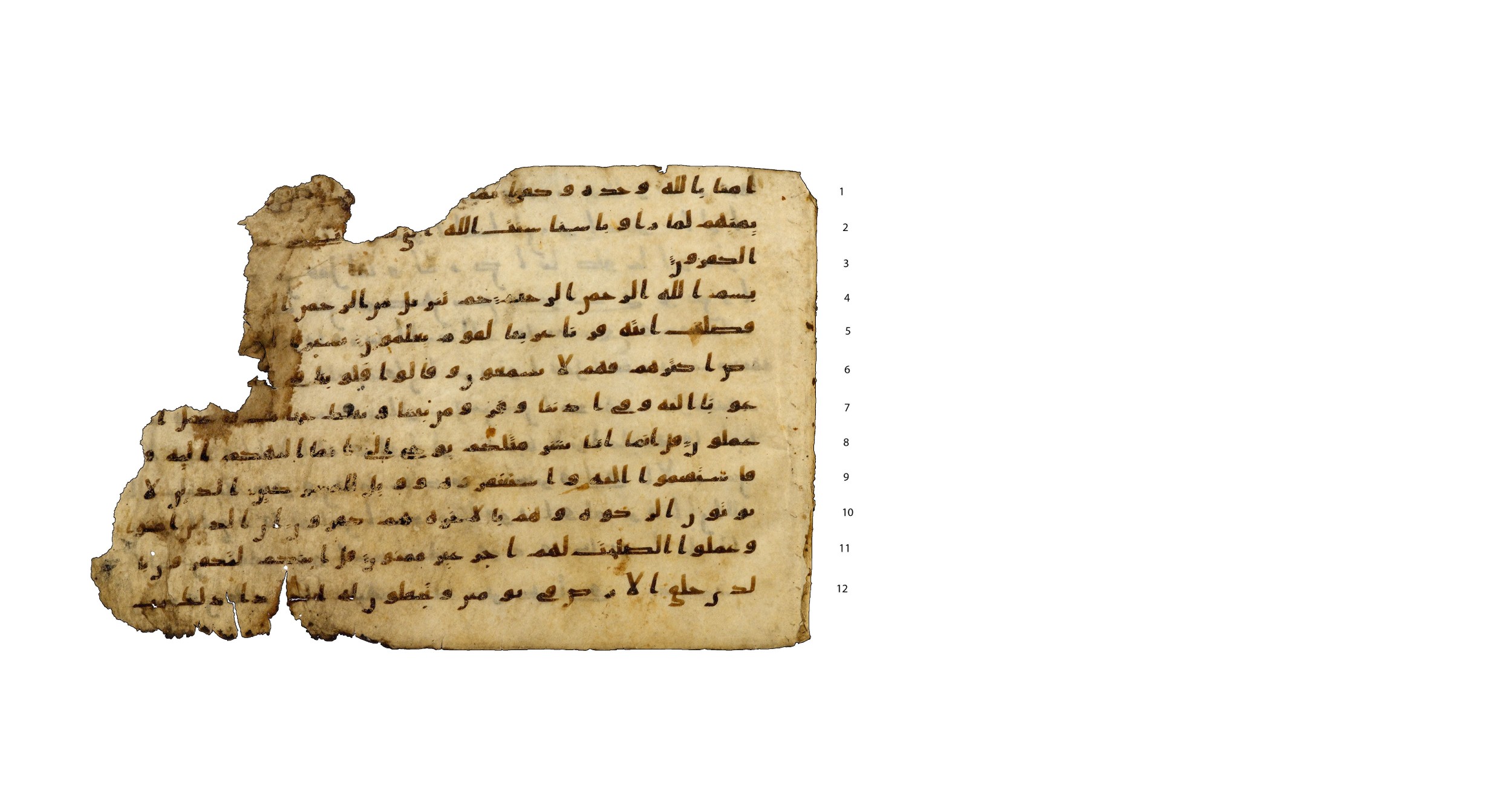 Codex Amrensis 1, in Ḥiǧāzī I script, showing Surah 41:2 from Early to Mid 8th Century AD found in Fustat (Old Cairo), Egypt, currently housed at Bibliothèque nationale de France, Paris