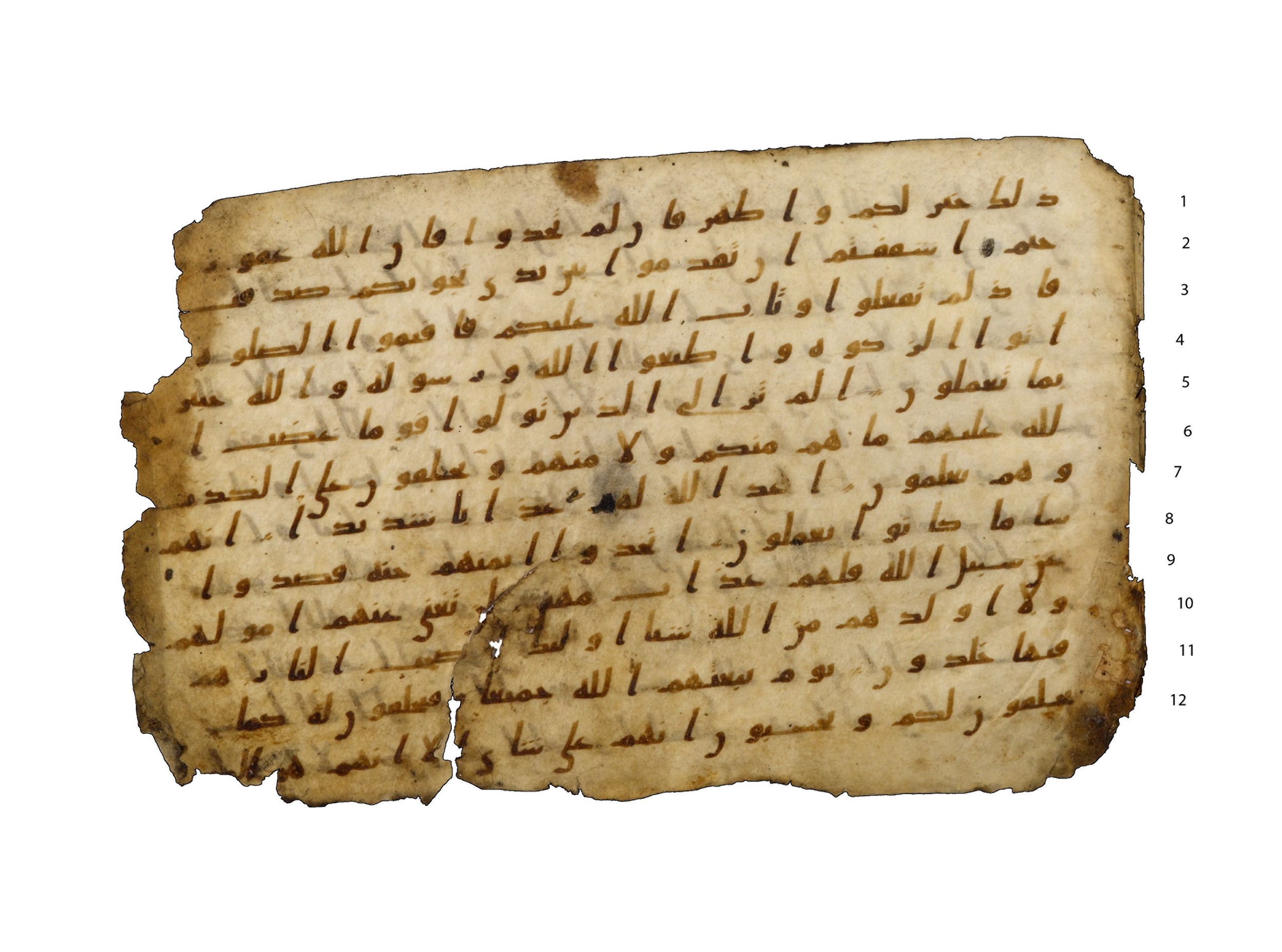 Codex Amrensis 1, in Ḥiǧāzī I script, showing Surah 58:17 from Early to Mid 8th Century AD found in Fustat (Old Cairo), Egypt, currently housed at Bibliothèque nationale de France, Paris