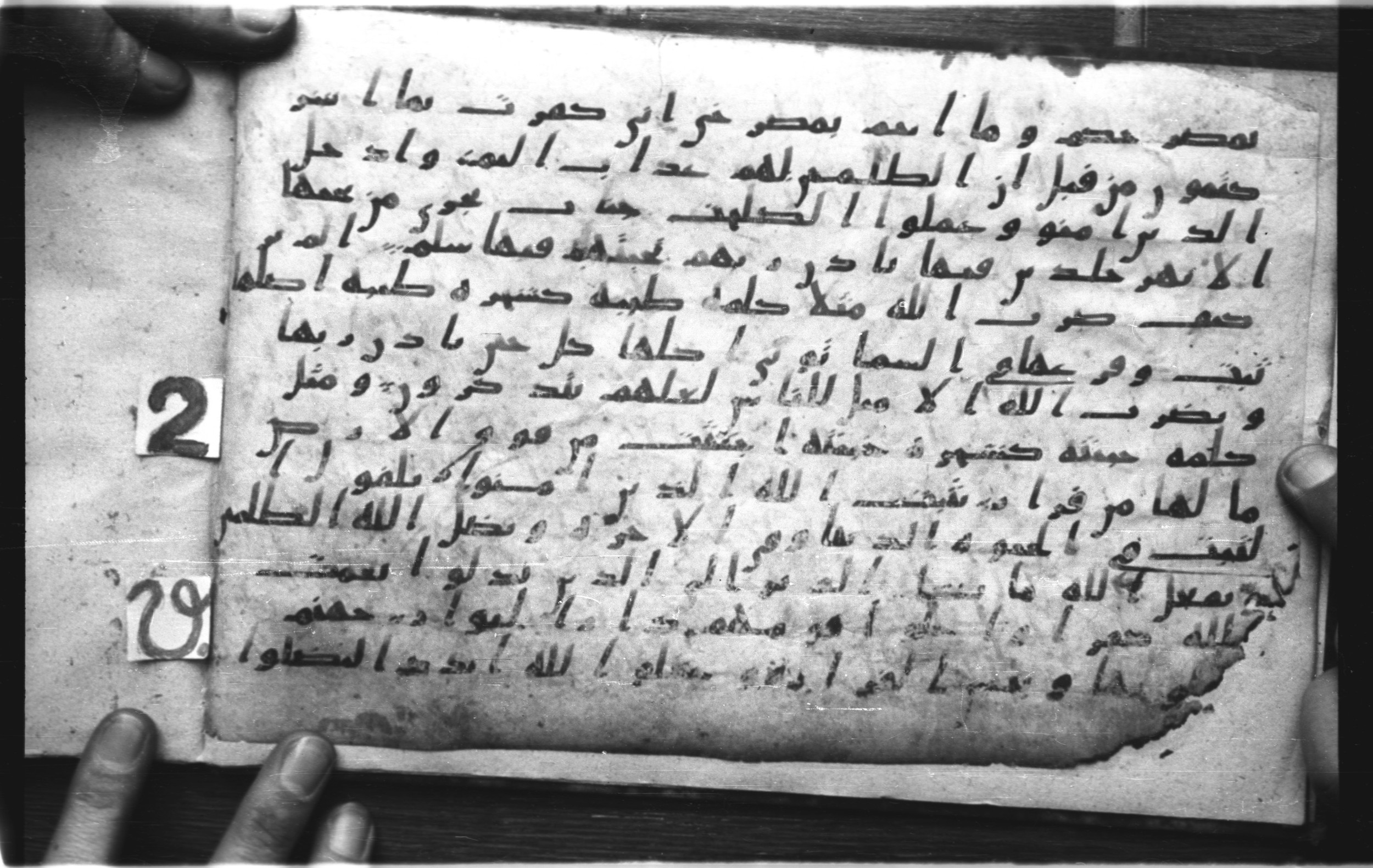 Codex Amrensis 1 (Scan 1), in Ḥiǧāzī I script, showing Surah 14:28 from Early to Mid 8th Century AD found in Fustat (Old Cairo), Egypt, currently housed at Bibliothèque nationale de France, Paris