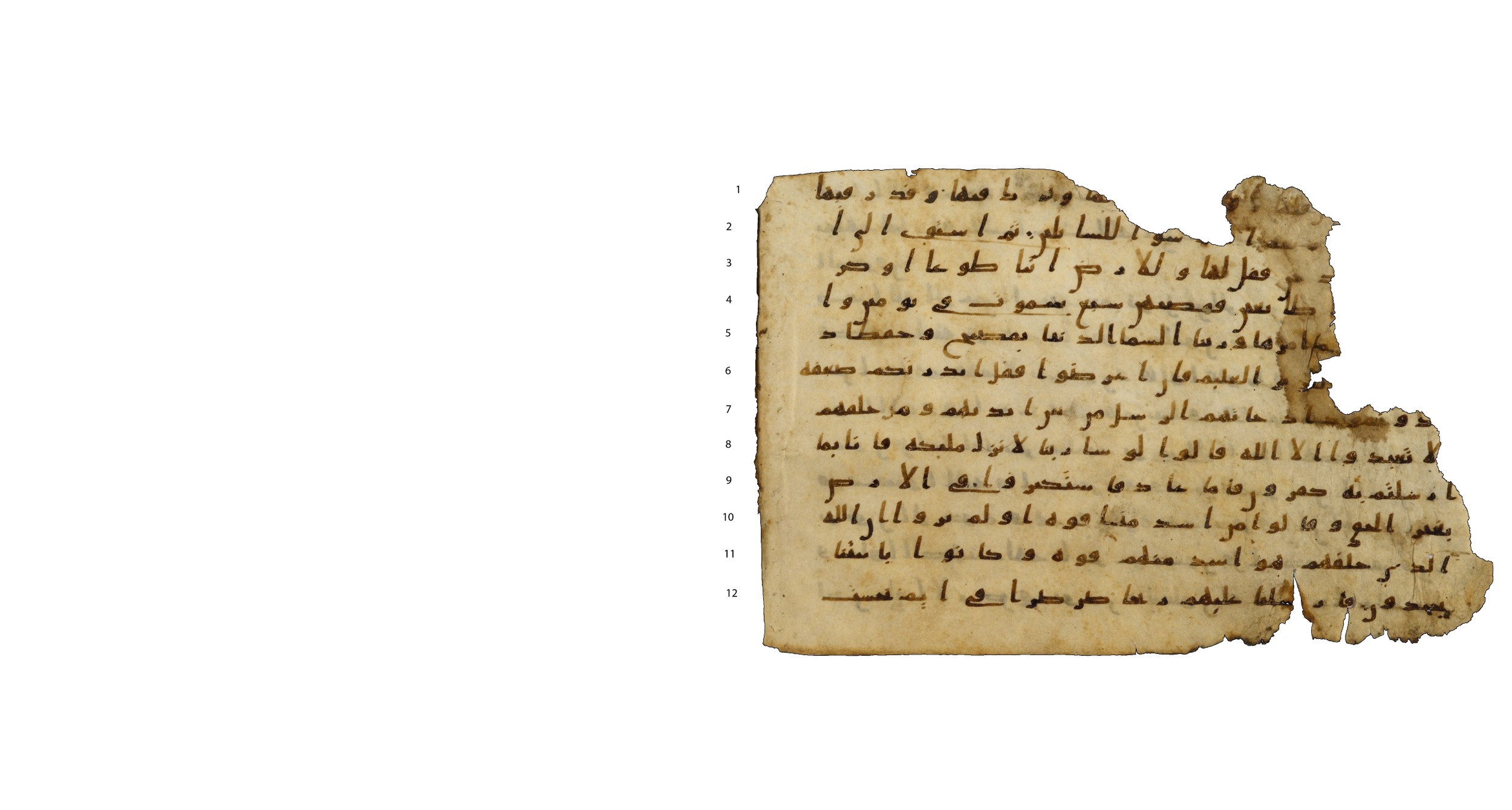 Codex Amrensis 1, in Ḥiǧāzī I script, showing Surah 41:13 from Early to Mid 8th Century AD found in Fustat (Old Cairo), Egypt, currently housed at Bibliothèque nationale de France, Paris