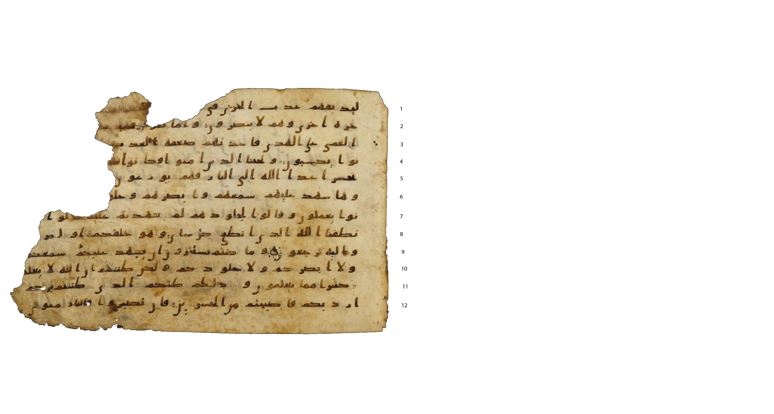 Codex Amrensis 1, in Ḥiǧāzī I script, showing Surah 41:21 from Early to Mid 8th Century AD found in Fustat (Old Cairo), Egypt, currently housed at Bibliothèque nationale de France, Paris
