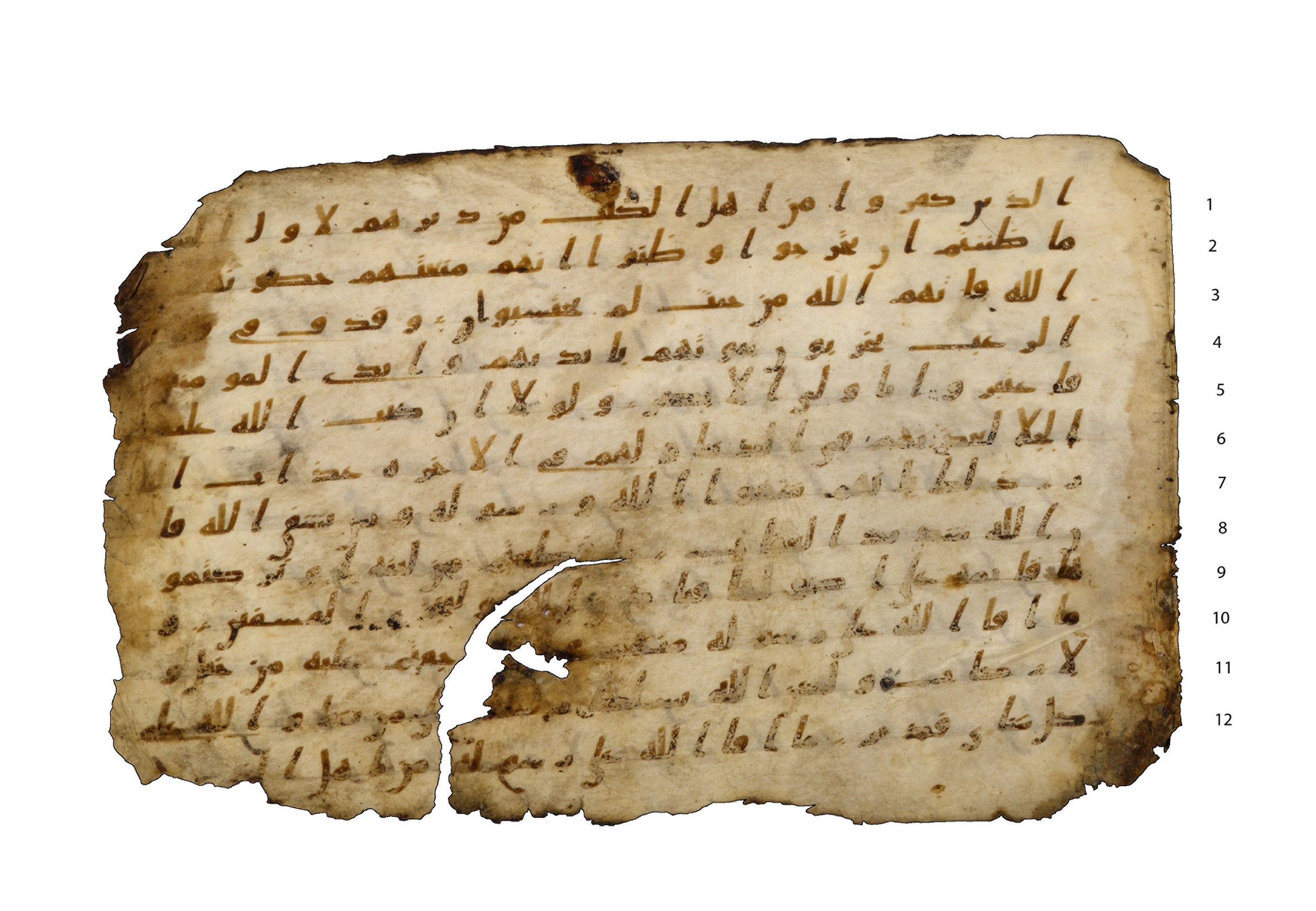 Codex Amrensis 1, in Ḥiǧāzī I script, showing Surah 59:3 from Early to Mid 8th Century AD found in Fustat (Old Cairo), Egypt, currently housed at Bibliothèque nationale de France, Paris
