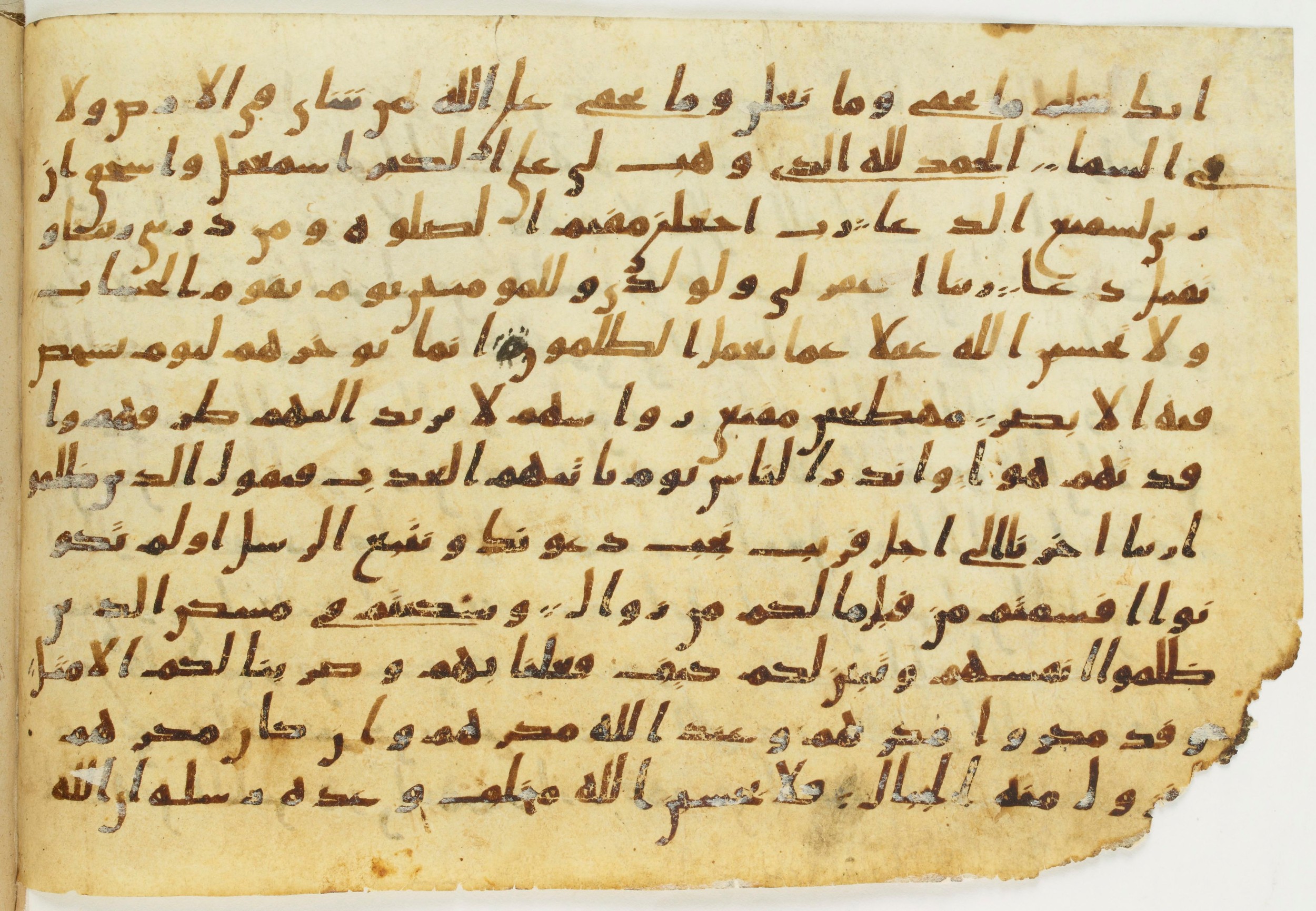 Codex Amrensis 1 (Scan 2), in Ḥiǧāzī I script, showing Surah 14:39 from Early to Mid 8th Century AD found in Fustat (Old Cairo), Egypt, currently housed at Bibliothèque nationale de France, Paris