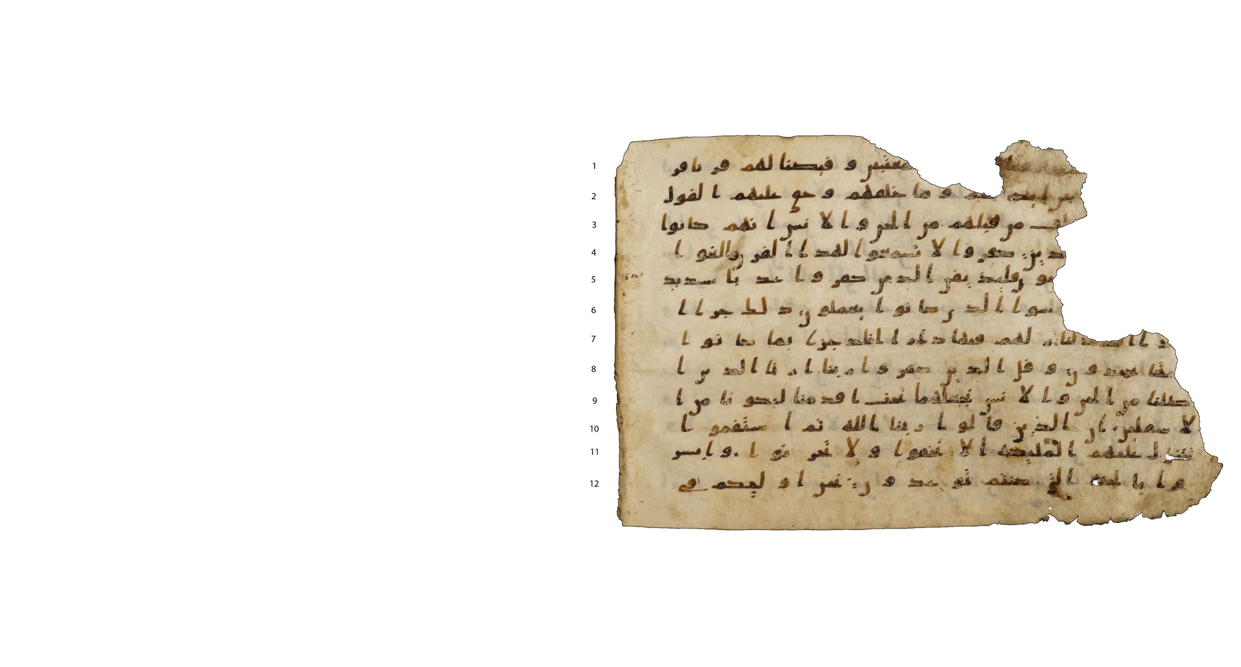Codex Amrensis 1, in Ḥiǧāzī I script, showing Surah 41:28 from Early to Mid 8th Century AD found in Fustat (Old Cairo), Egypt, currently housed at Bibliothèque nationale de France, Paris