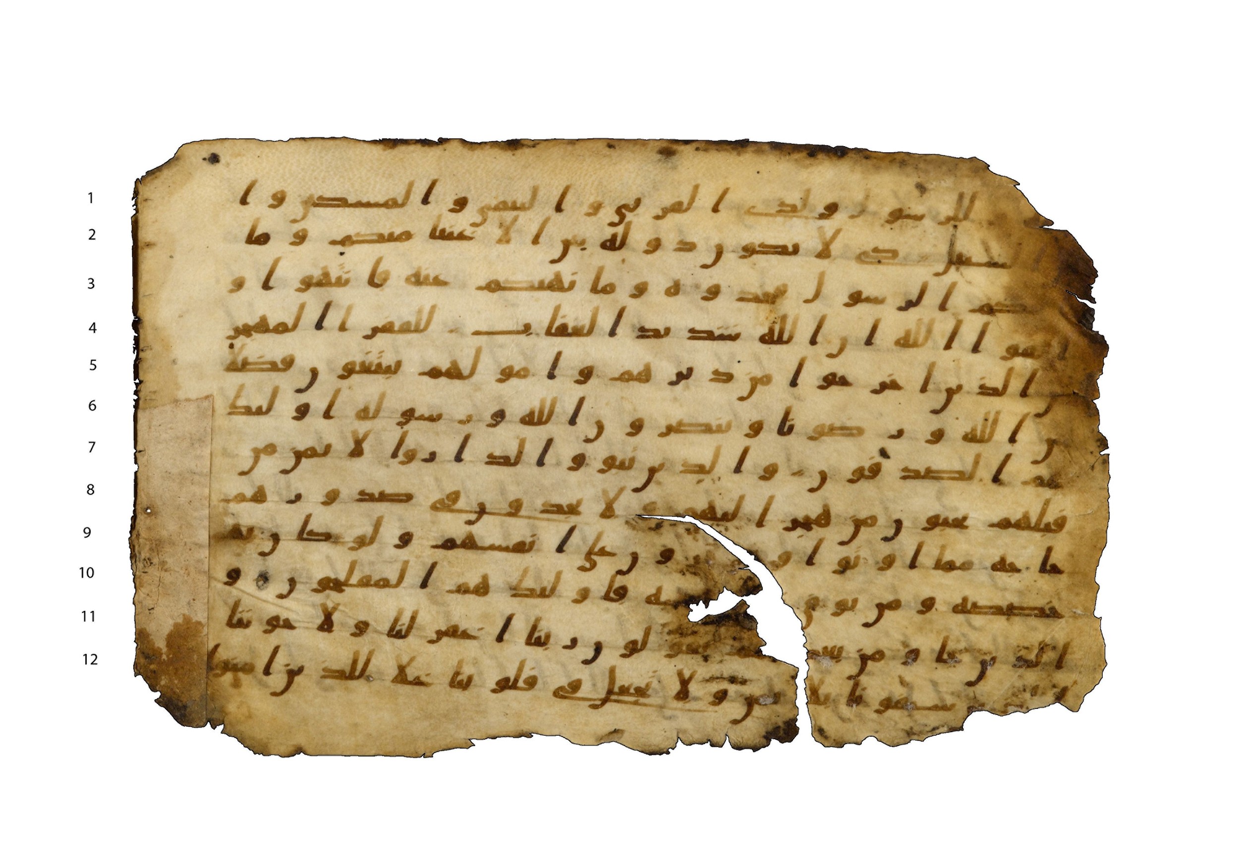 Codex Amrensis 1, in Ḥiǧāzī I script, showing Surah 59:8 from Early to Mid 8th Century AD found in Fustat (Old Cairo), Egypt, currently housed at Bibliothèque nationale de France, Paris