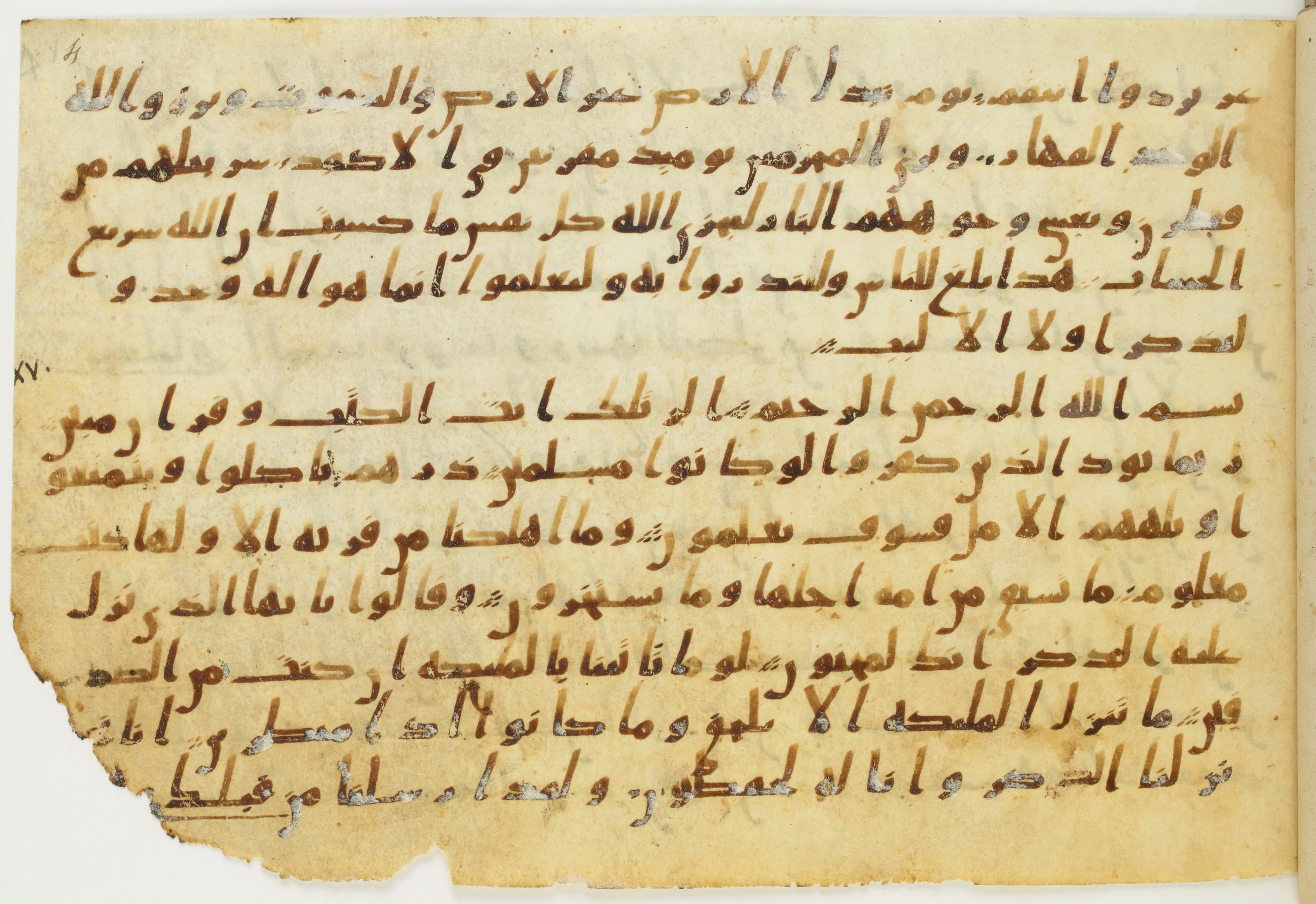 Codex Amrensis 1 (Scan 2), in Ḥiǧāzī I script, showing Surah 14:49 from Early to Mid 8th Century AD found in Fustat (Old Cairo), Egypt, currently housed at Bibliothèque nationale de France, Paris