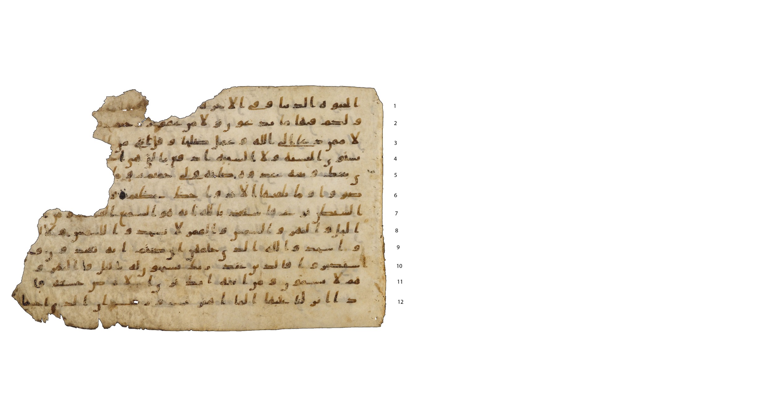 Codex Amrensis 1 (Scan 1), in Ḥiǧāzī I script, showing Surah 41:39 from Early to Mid 8th Century AD found in Fustat (Old Cairo), Egypt, currently housed at Bibliothèque nationale de France, Paris