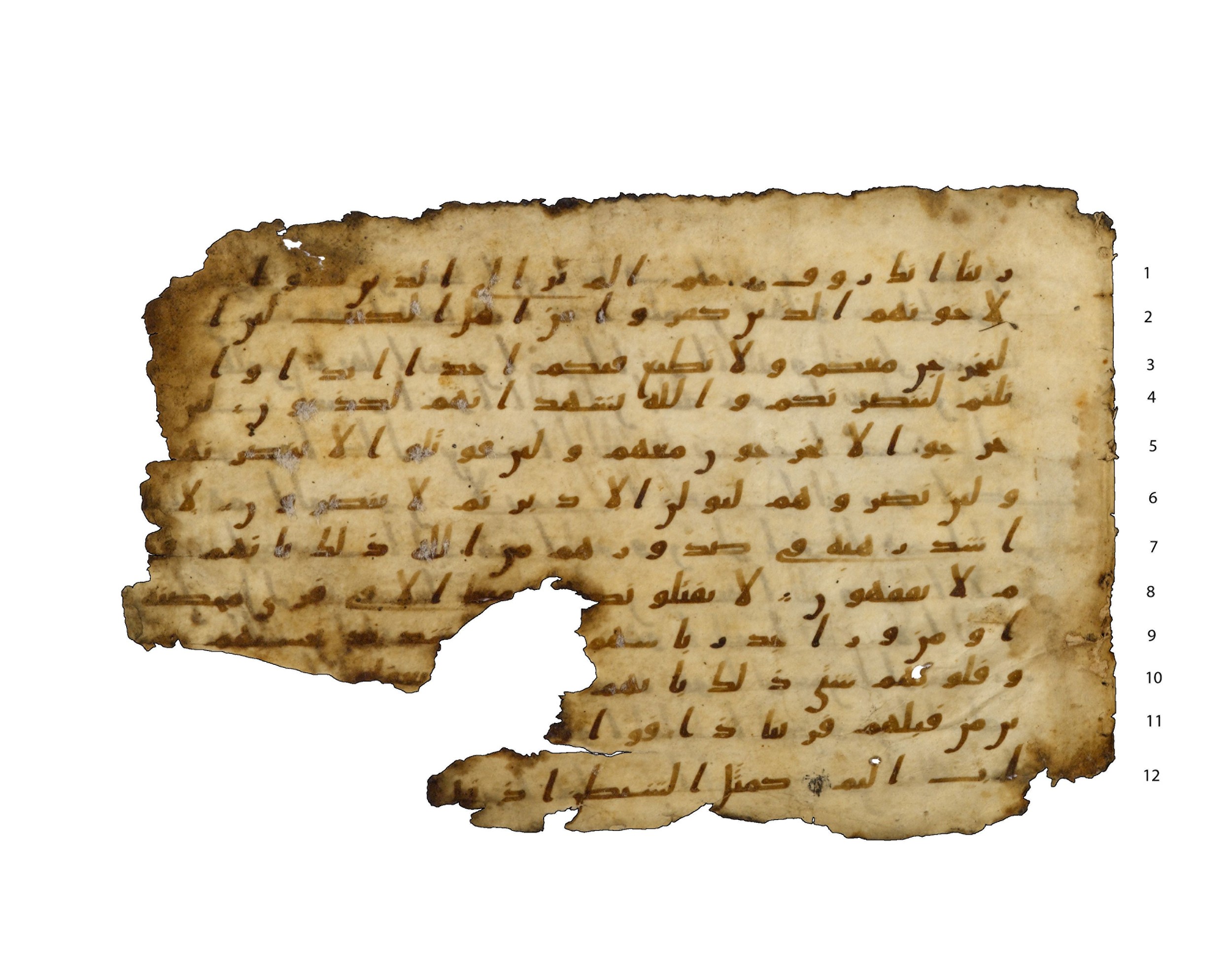 Codex Amrensis 1, in Ḥiǧāzī I script, showing Surah 59:13 from Early to Mid 8th Century AD found in Fustat (Old Cairo), Egypt, currently housed at Bibliothèque nationale de France, Paris