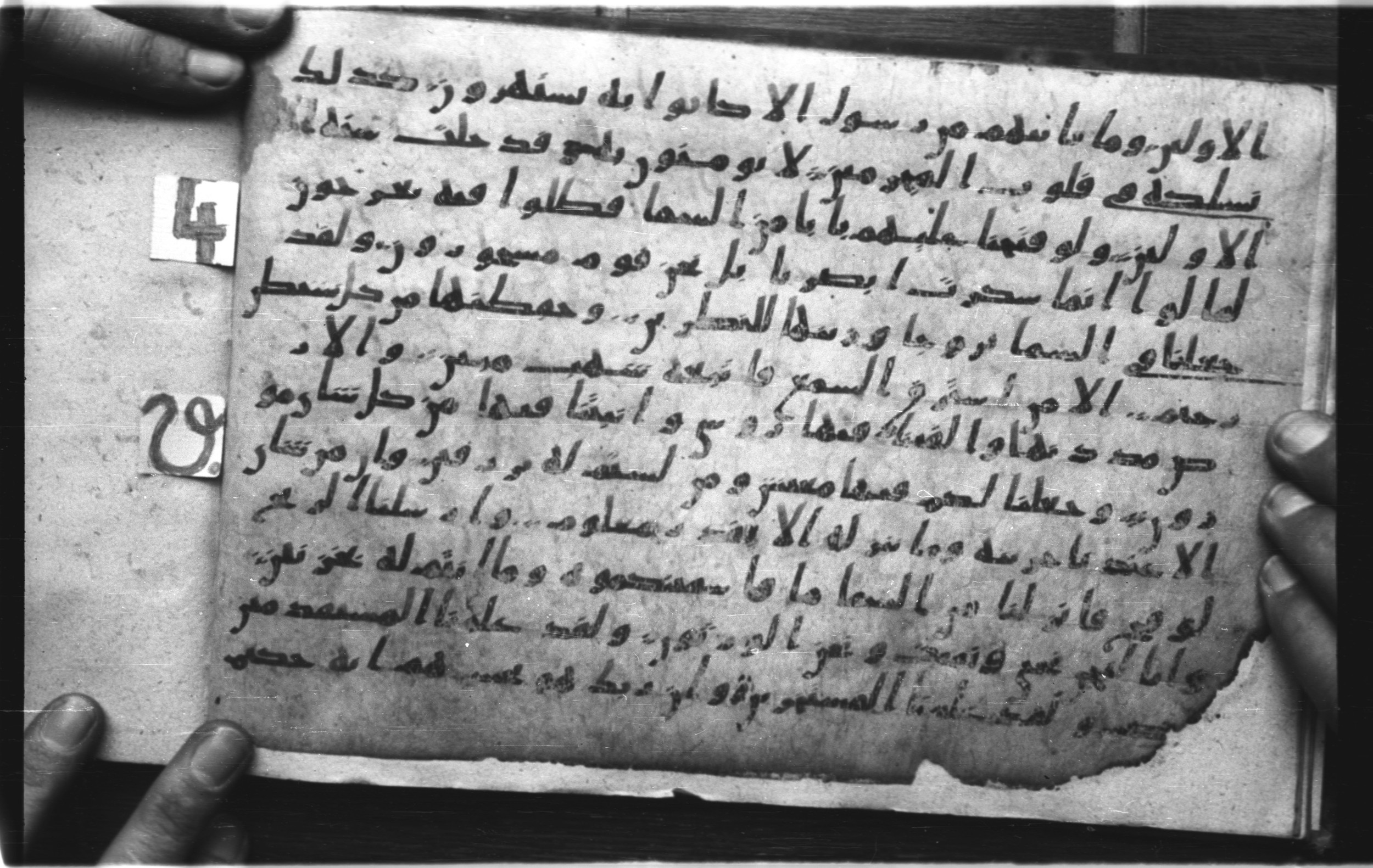 Codex Amrensis 1 (Scan 1), in Ḥiǧāzī I script, showing Surah 15:13 from Early to Mid 8th Century AD found in Fustat (Old Cairo), Egypt, currently housed at Bibliothèque nationale de France, Paris