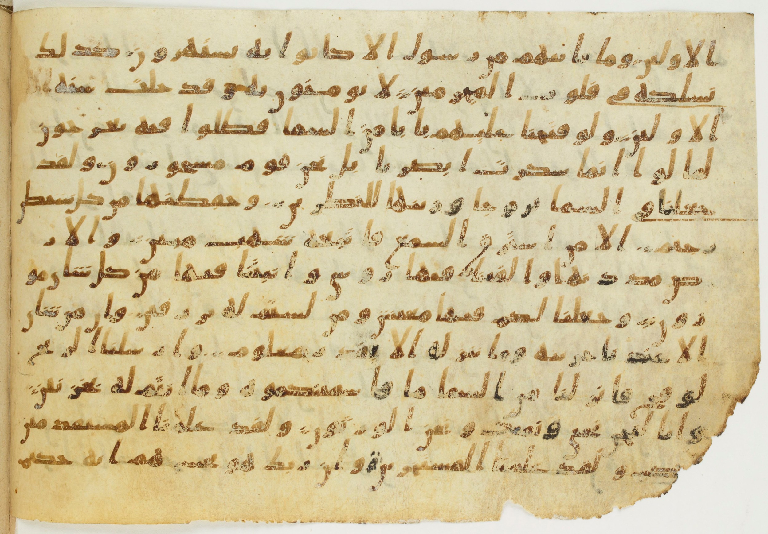 Codex Amrensis 1 (Scan 2), in Ḥiǧāzī I script, showing Surah 15:13 from Early to Mid 8th Century AD found in Fustat (Old Cairo), Egypt, currently housed at Bibliothèque nationale de France, Paris