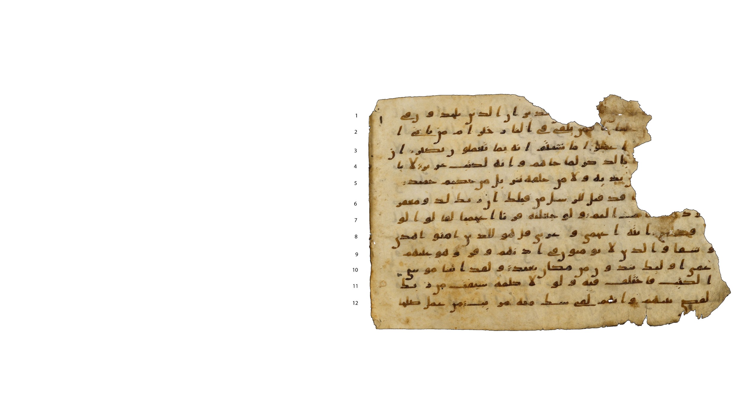 Codex Amrensis 1 (Scan 2), in Ḥiǧāzī I script, showing Surah 41:39 from Early to Mid 8th Century AD found in Fustat (Old Cairo), Egypt, currently housed at Bibliothèque nationale de France, Paris