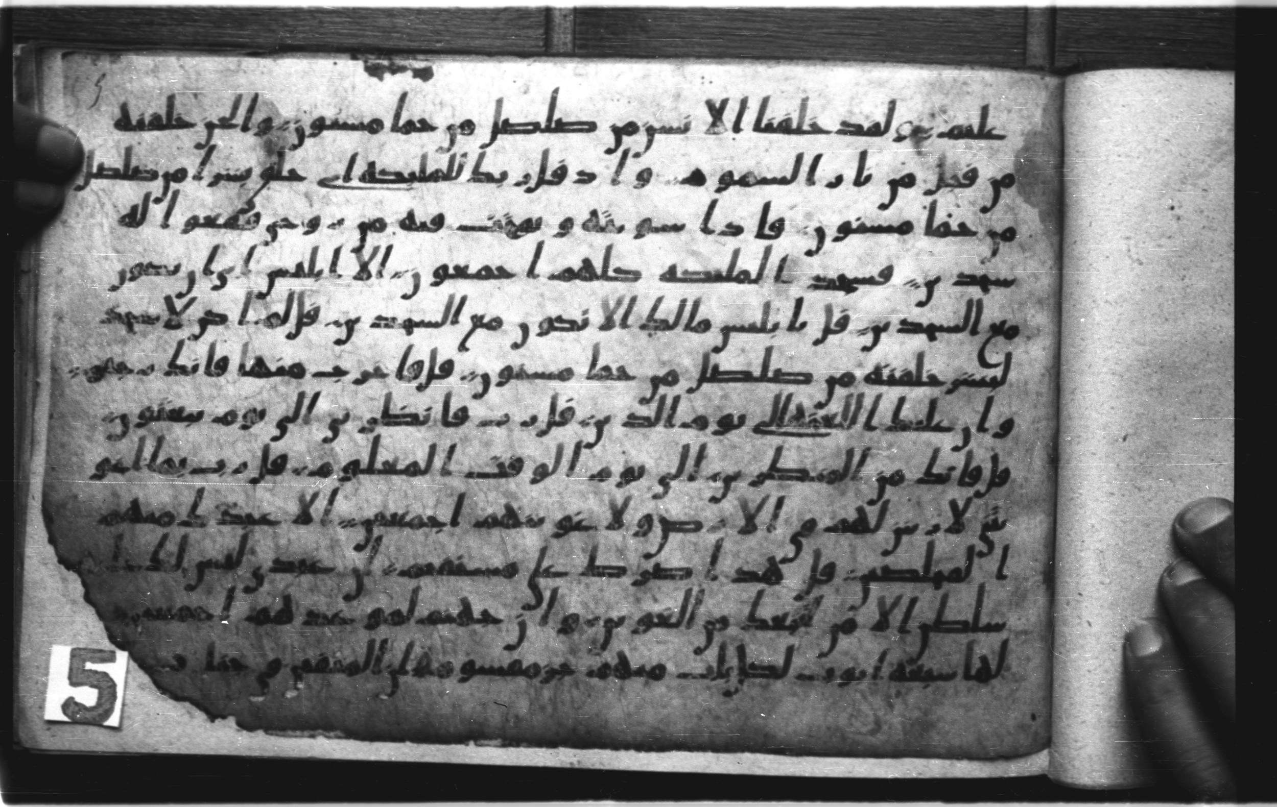 Codex Amrensis 1 (Scan 1), in Ḥiǧāzī I script, showing Surah 15:39 from Early to Mid 8th Century AD found in Fustat (Old Cairo), Egypt, currently housed at Bibliothèque nationale de France, Paris