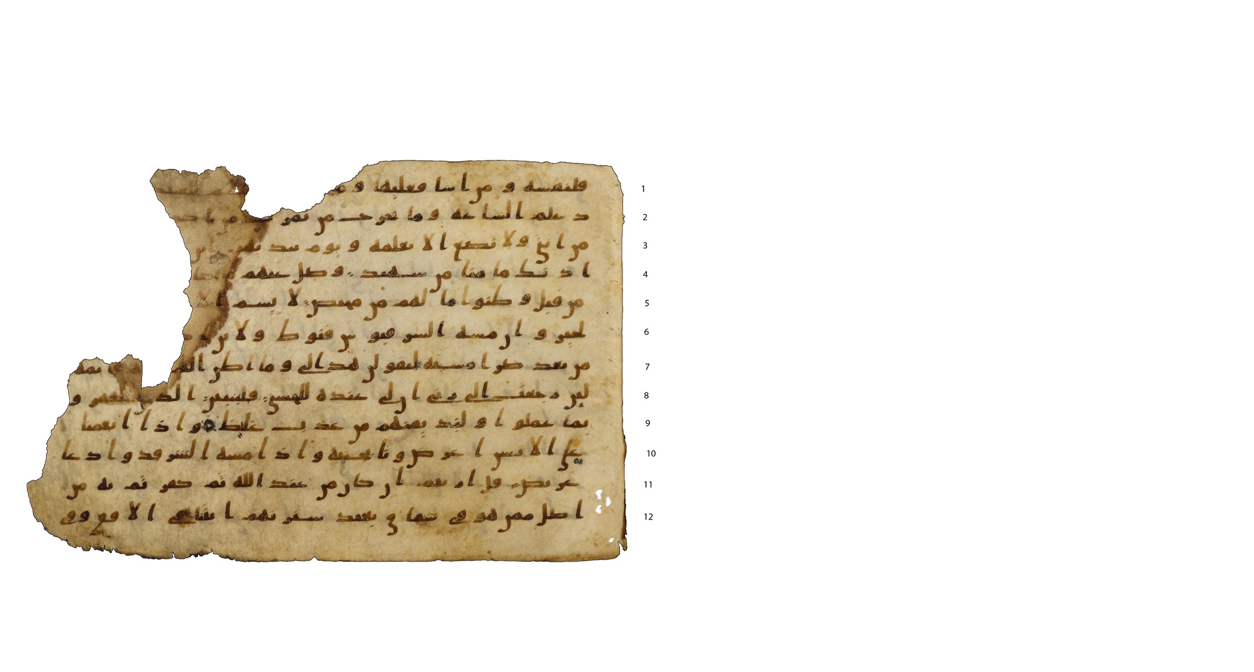 Codex Amrensis 1, in Ḥiǧāzī I script, showing Surah 41:49 from Early to Mid 8th Century AD found in Fustat (Old Cairo), Egypt, currently housed at Bibliothèque nationale de France, Paris