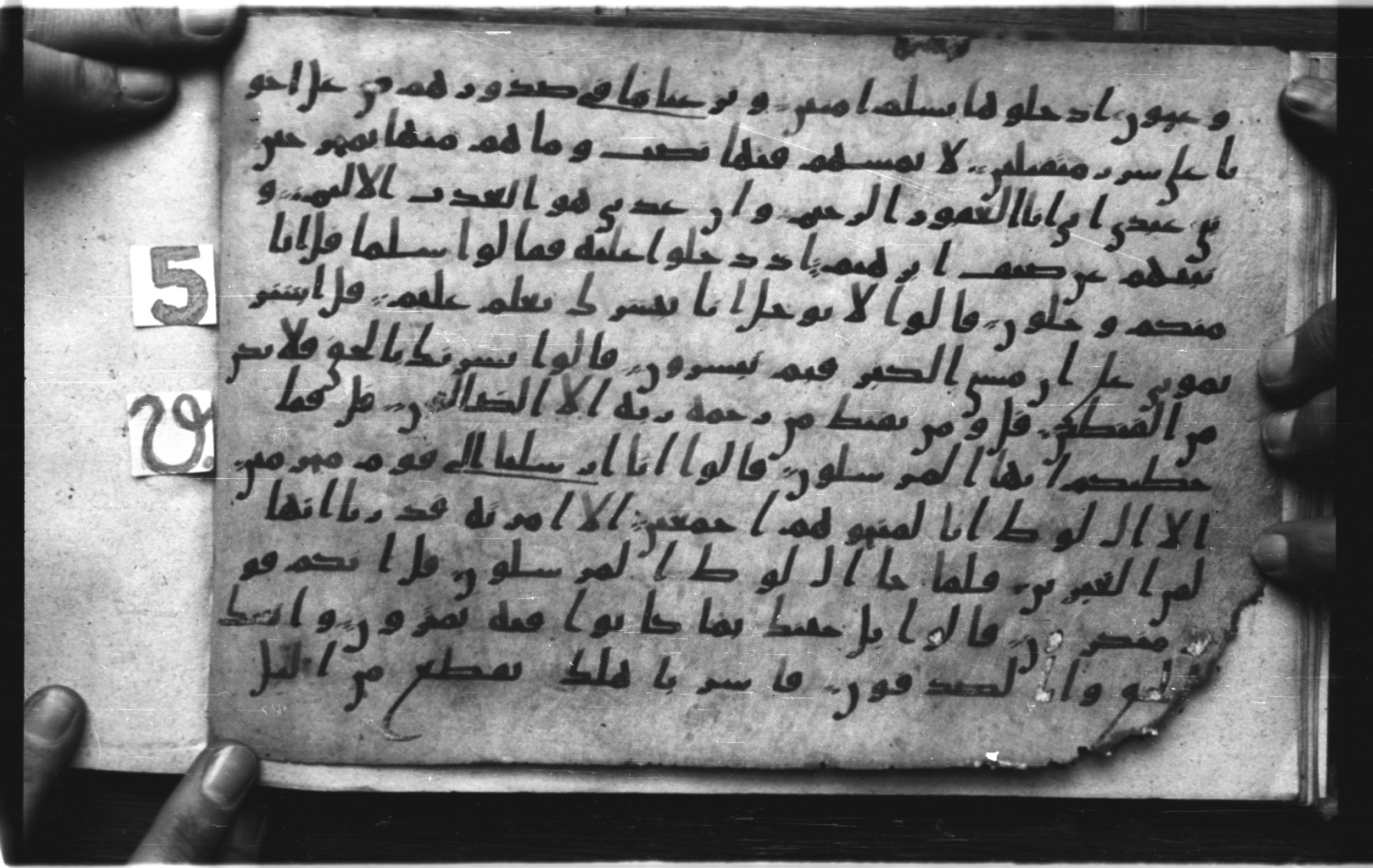 Codex Amrensis 1 (Scan 1), in Ḥiǧāzī I script, showing Surah 15:49 from Early to Mid 8th Century AD found in Fustat (Old Cairo), Egypt, currently housed at Bibliothèque nationale de France, Paris