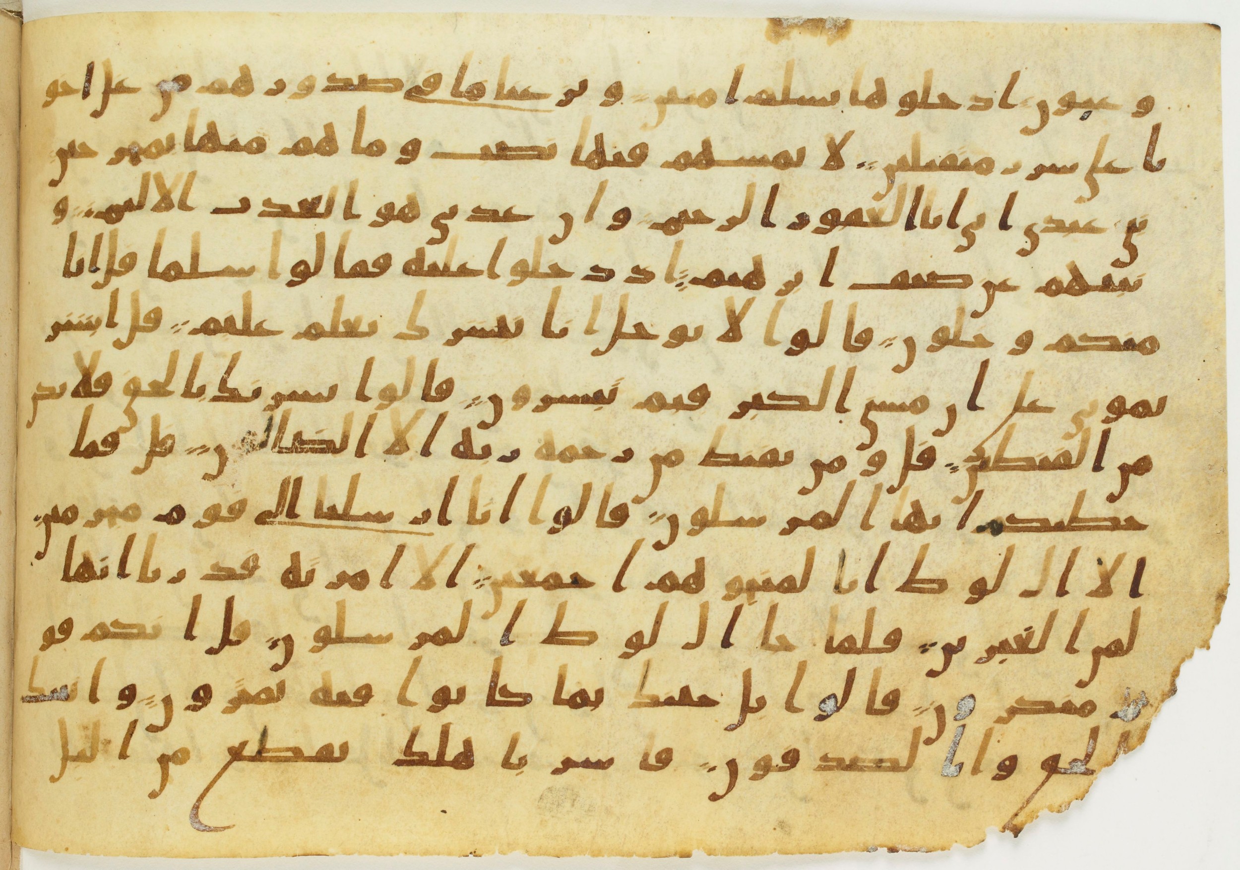 Codex Amrensis 1 (Scan 2), in Ḥiǧāzī I script, showing Surah 15:49 from Early to Mid 8th Century AD found in Fustat (Old Cairo), Egypt, currently housed at Bibliothèque nationale de France, Paris