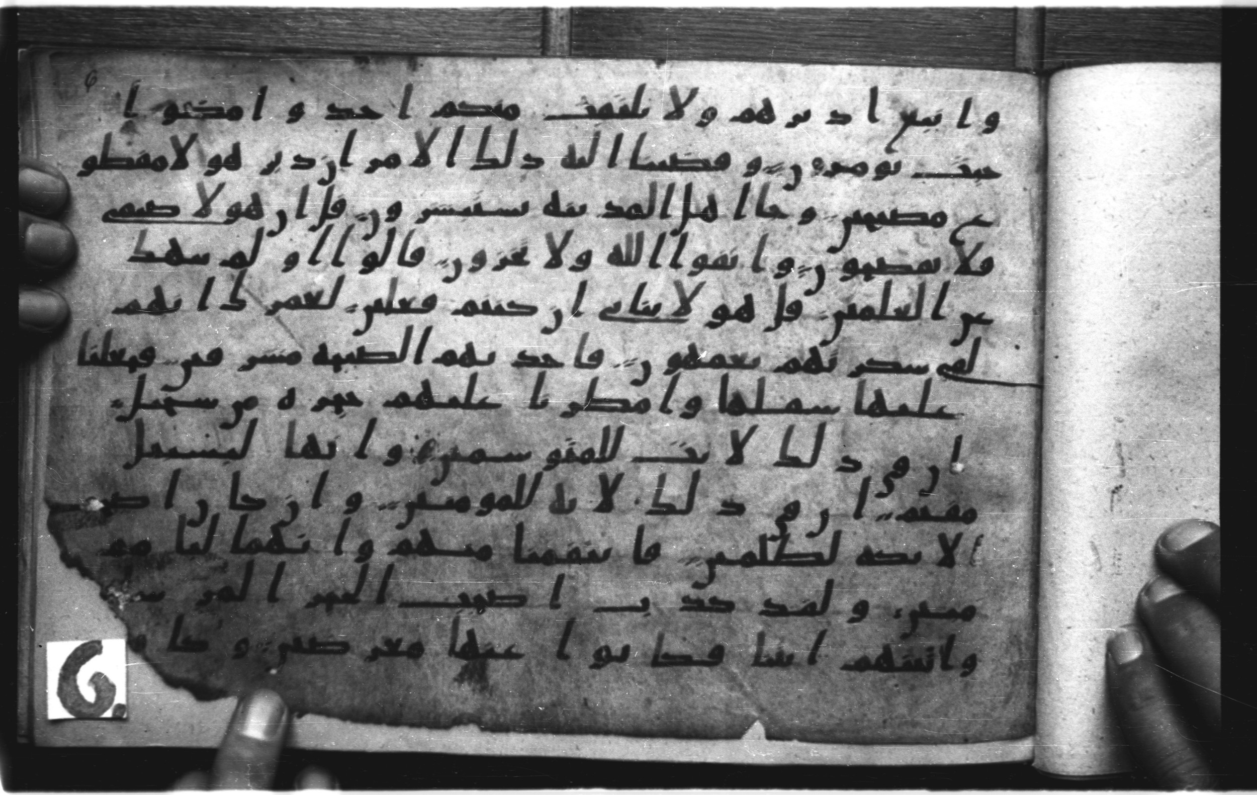 Codex Amrensis 1 (Scan 1), in Ḥiǧāzī I script, showing Surah 15:71 from Early to Mid 8th Century AD found in Fustat (Old Cairo), Egypt, currently housed at Bibliothèque nationale de France, Paris