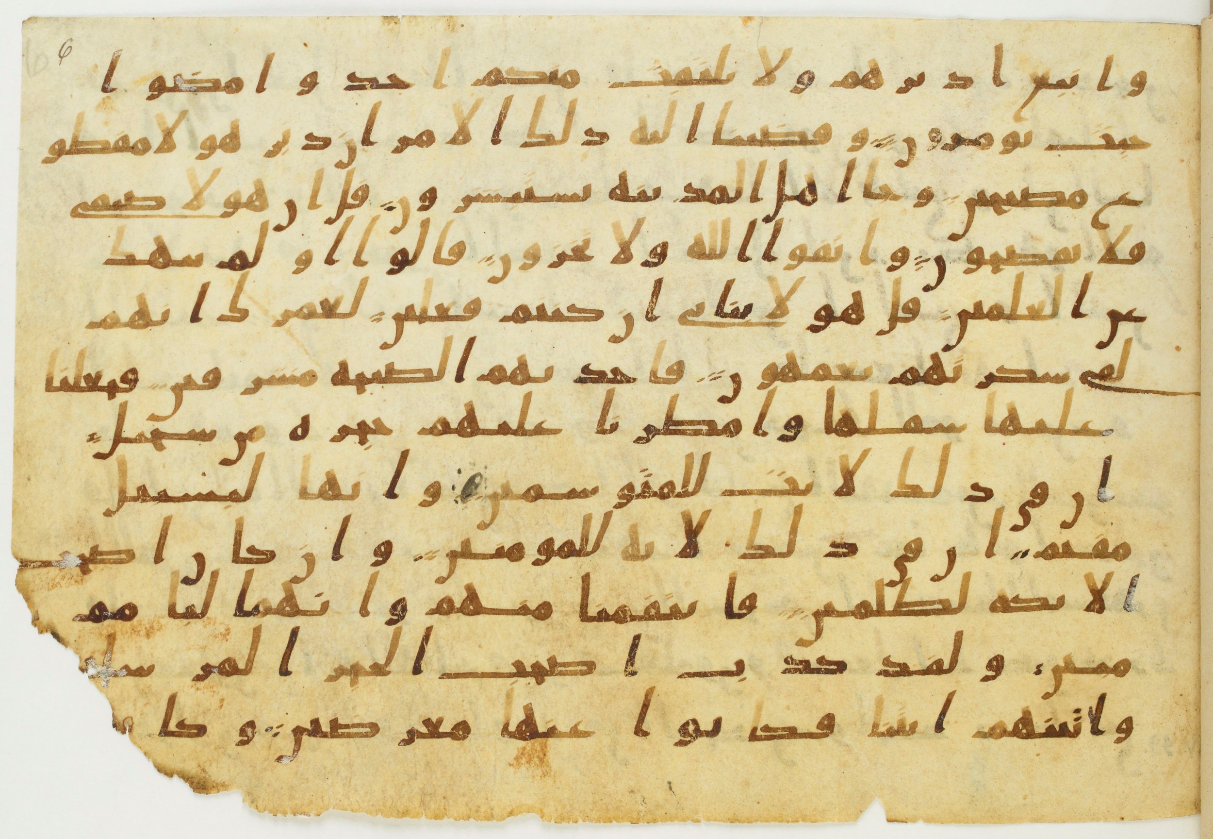 Codex Amrensis 1 (Scan 2), in Ḥiǧāzī I script, showing Surah 15:71 from Early to Mid 8th Century AD found in Fustat (Old Cairo), Egypt, currently housed at Bibliothèque nationale de France, Paris