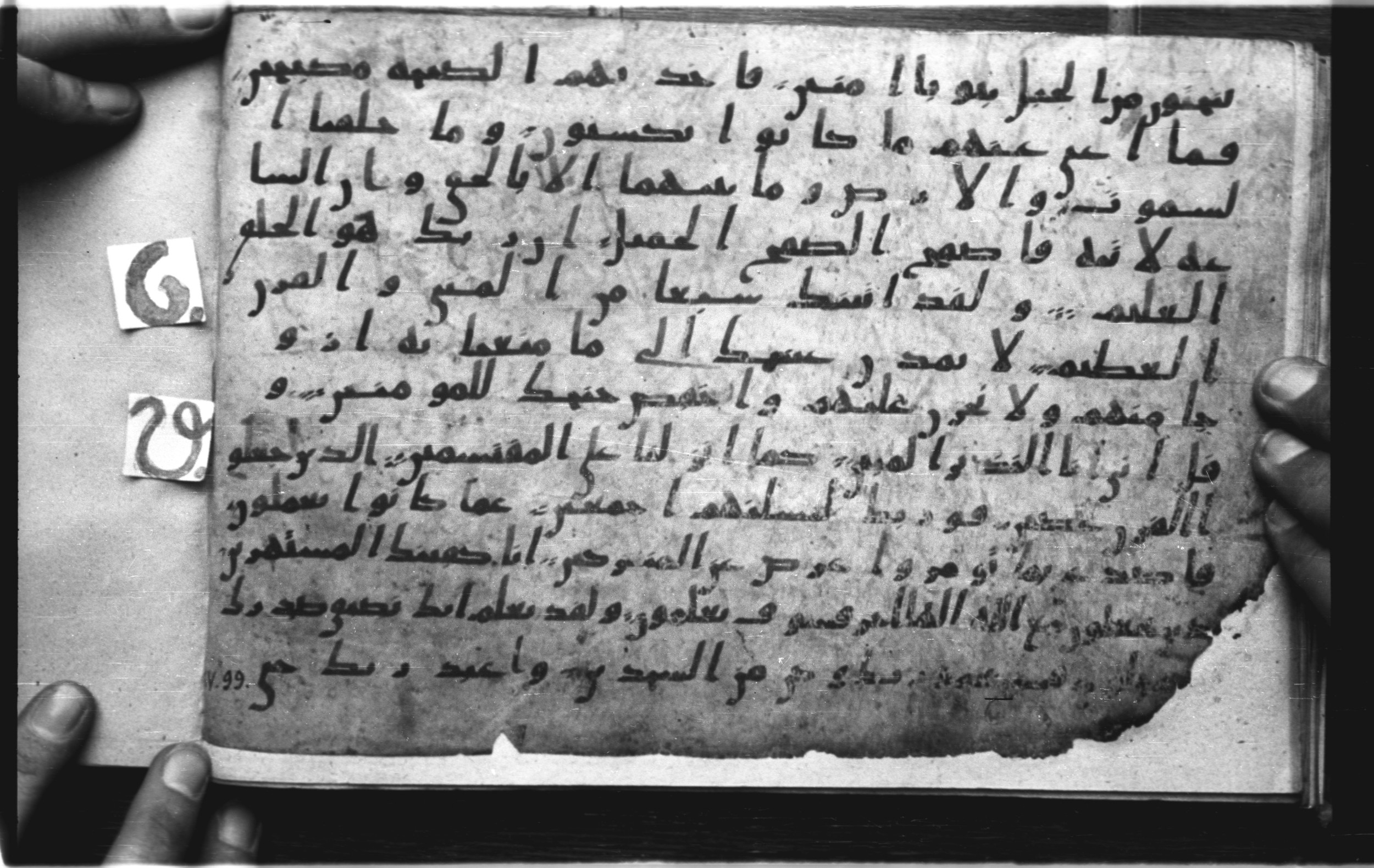 Codex Amrensis 1 (Scan 1), in Ḥiǧāzī I script, showing Surah 15:83 from Early to Mid 8th Century AD found in Fustat (Old Cairo), Egypt, currently housed at Bibliothèque nationale de France, Paris