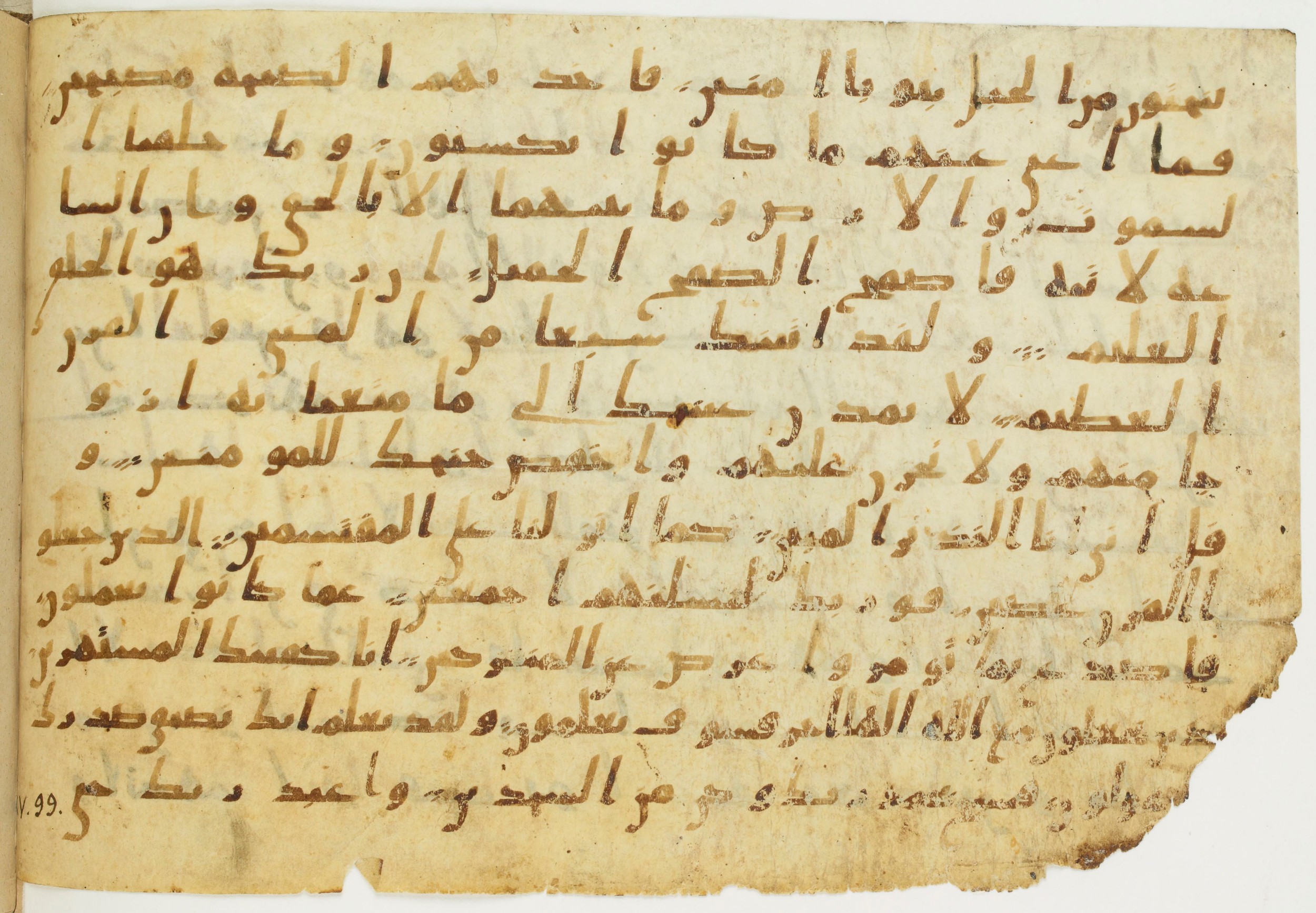 Codex Amrensis 1 (Scan 2), in Ḥiǧāzī I script, showing Surah 15:83 from Early to Mid 8th Century AD found in Fustat (Old Cairo), Egypt, currently housed at Bibliothèque nationale de France, Paris