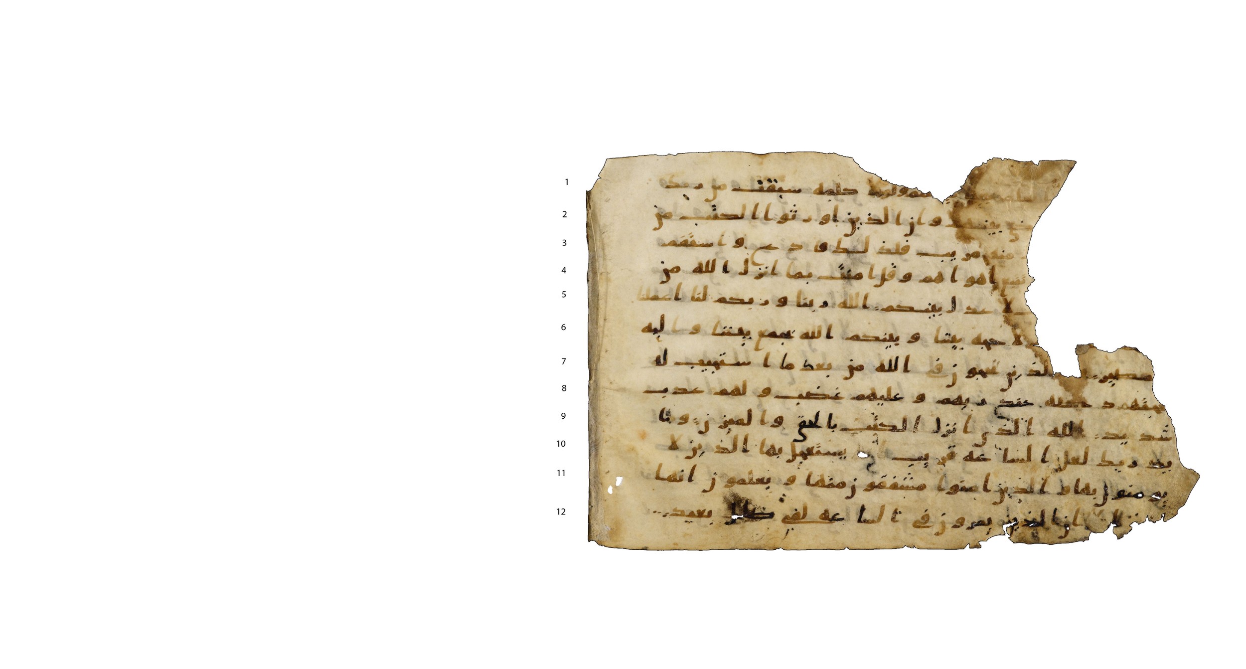 Codex Amrensis 1, in Ḥiǧāzī I script, showing Surah 42:16 from Early to Mid 8th Century AD found in Fustat (Old Cairo), Egypt, currently housed at Bibliothèque nationale de France, Paris