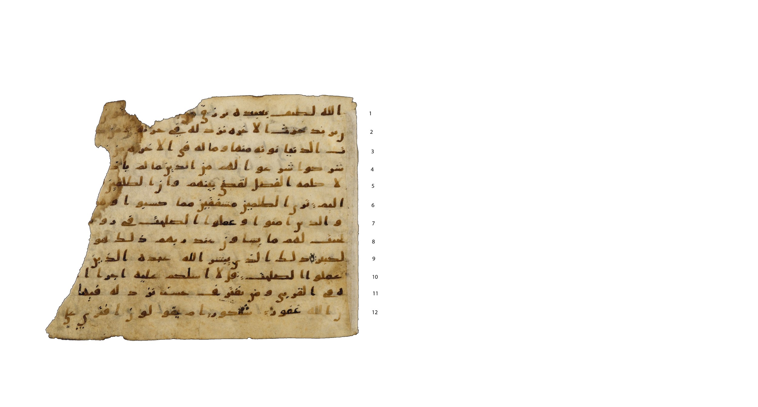 Codex Amrensis 1, in Ḥiǧāzī I script, showing Surah 42:23 from Early to Mid 8th Century AD found in Fustat (Old Cairo), Egypt, currently housed at Bibliothèque nationale de France, Paris