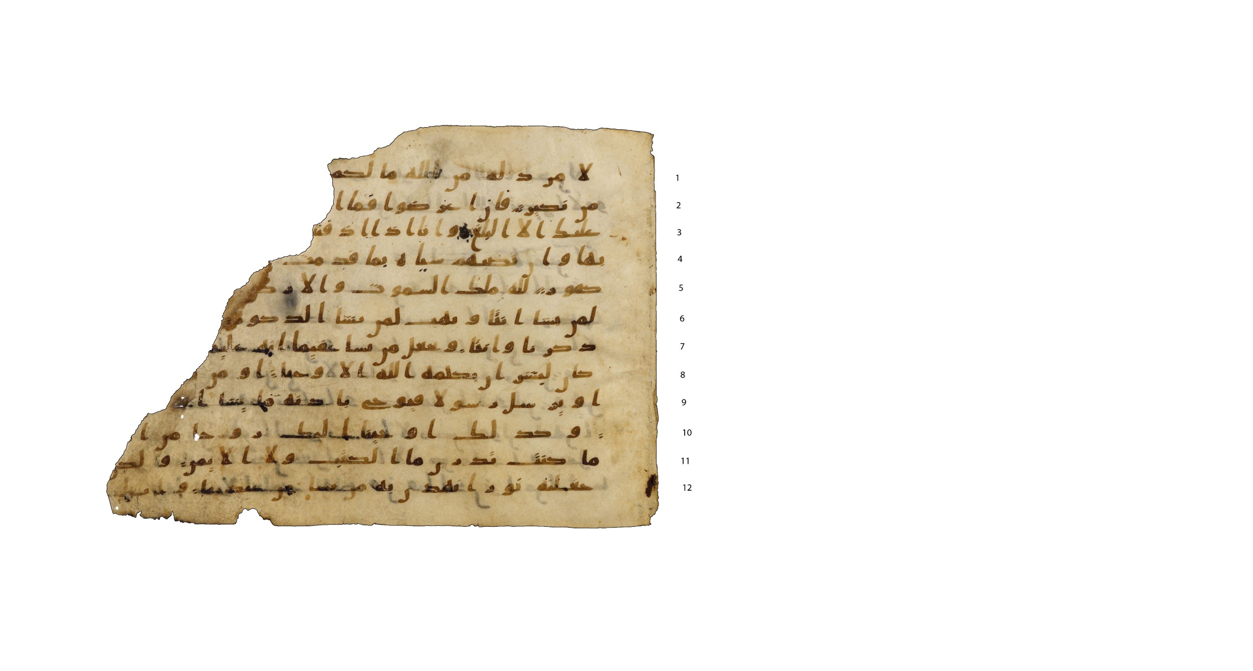Codex Amrensis 1, in Ḥiǧāzī I script, showing Surah 42:49 from Early to Mid 8th Century AD found in Fustat (Old Cairo), Egypt, currently housed at Bibliothèque nationale de France, Paris