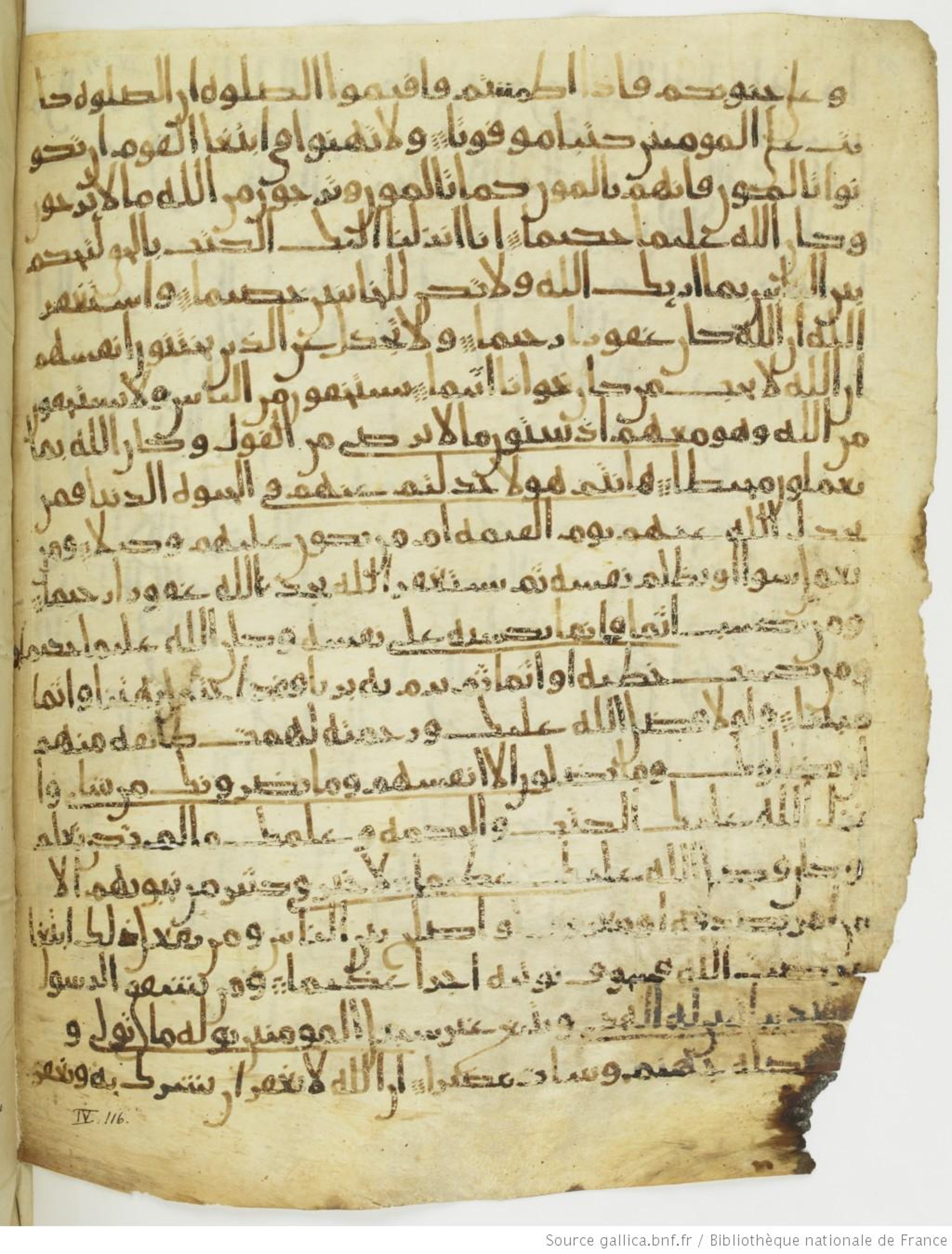 Paris, Bibliothèque nationale de France, Arabe 330 (g) (Scan 1), in Unclassified script, showing Surah 4:116 from Mid 8th to Late 9th Century AD found in Fustat (Old Cairo), Egypt, currently housed at Bibliothèque nationale de France, Paris