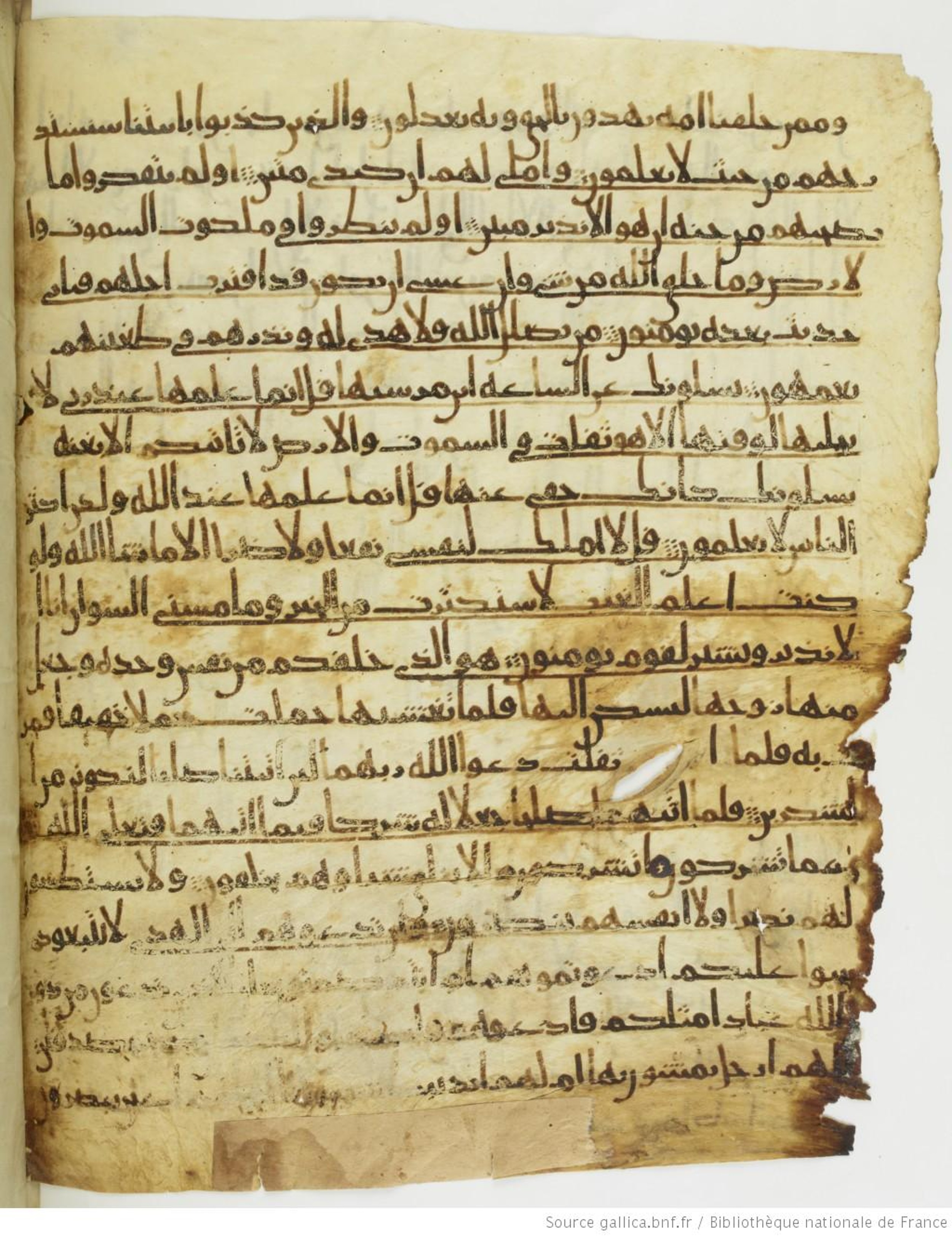 Paris, Bibliothèque nationale de France, Arabe 330 (g), in Unclassified script, showing Surah 7:191 from Mid 8th to Late 9th Century AD found in Fustat (Old Cairo), Egypt, currently housed at Bibliothèque nationale de France, Paris