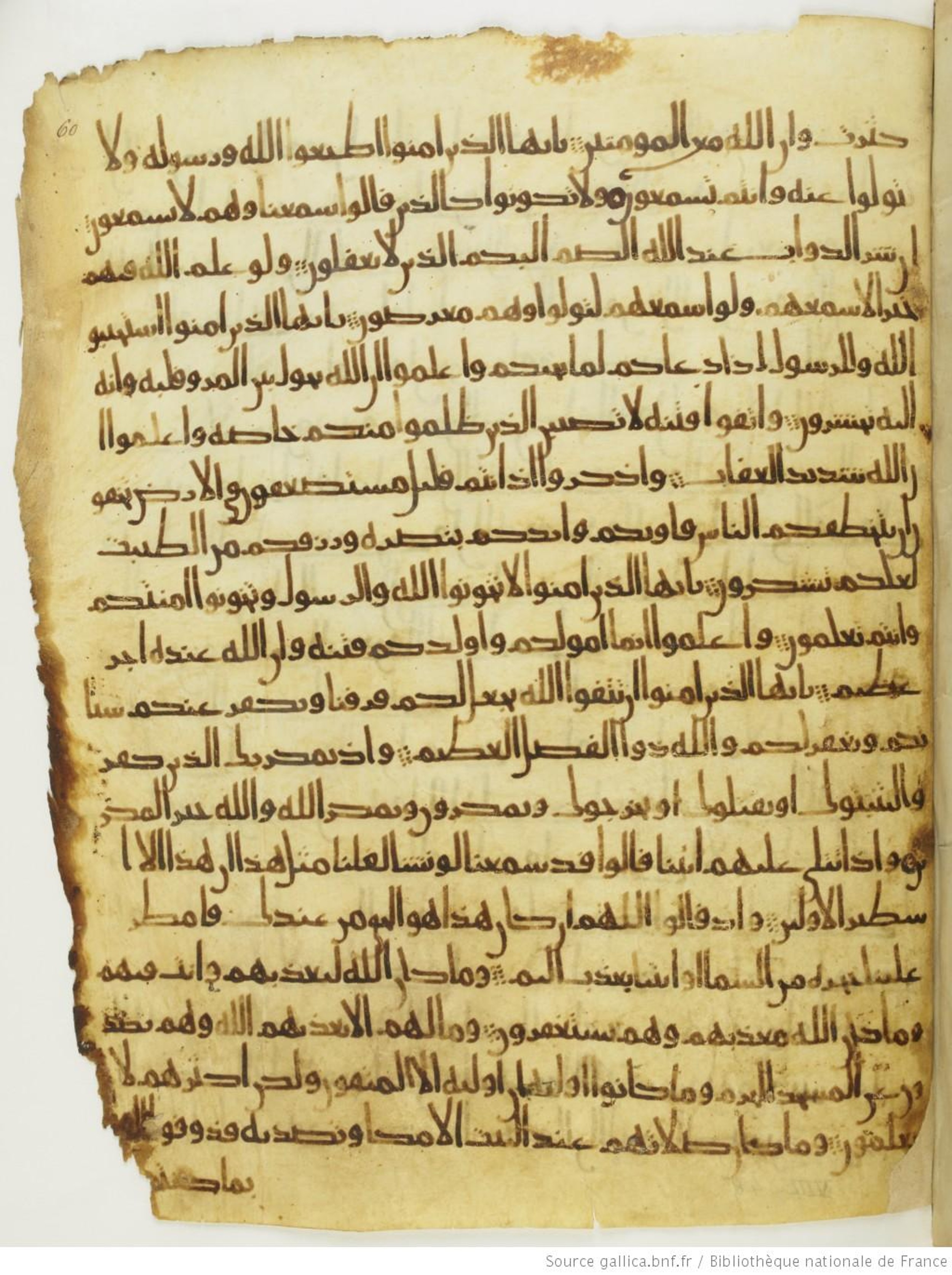 Paris, Bibliothèque nationale de France, Arabe 330 (g) (Scan 2), in Unclassified script, showing Surah 8:21 from Mid 8th to Late 9th Century AD found in Fustat (Old Cairo), Egypt, currently housed at Bibliothèque nationale de France, Paris