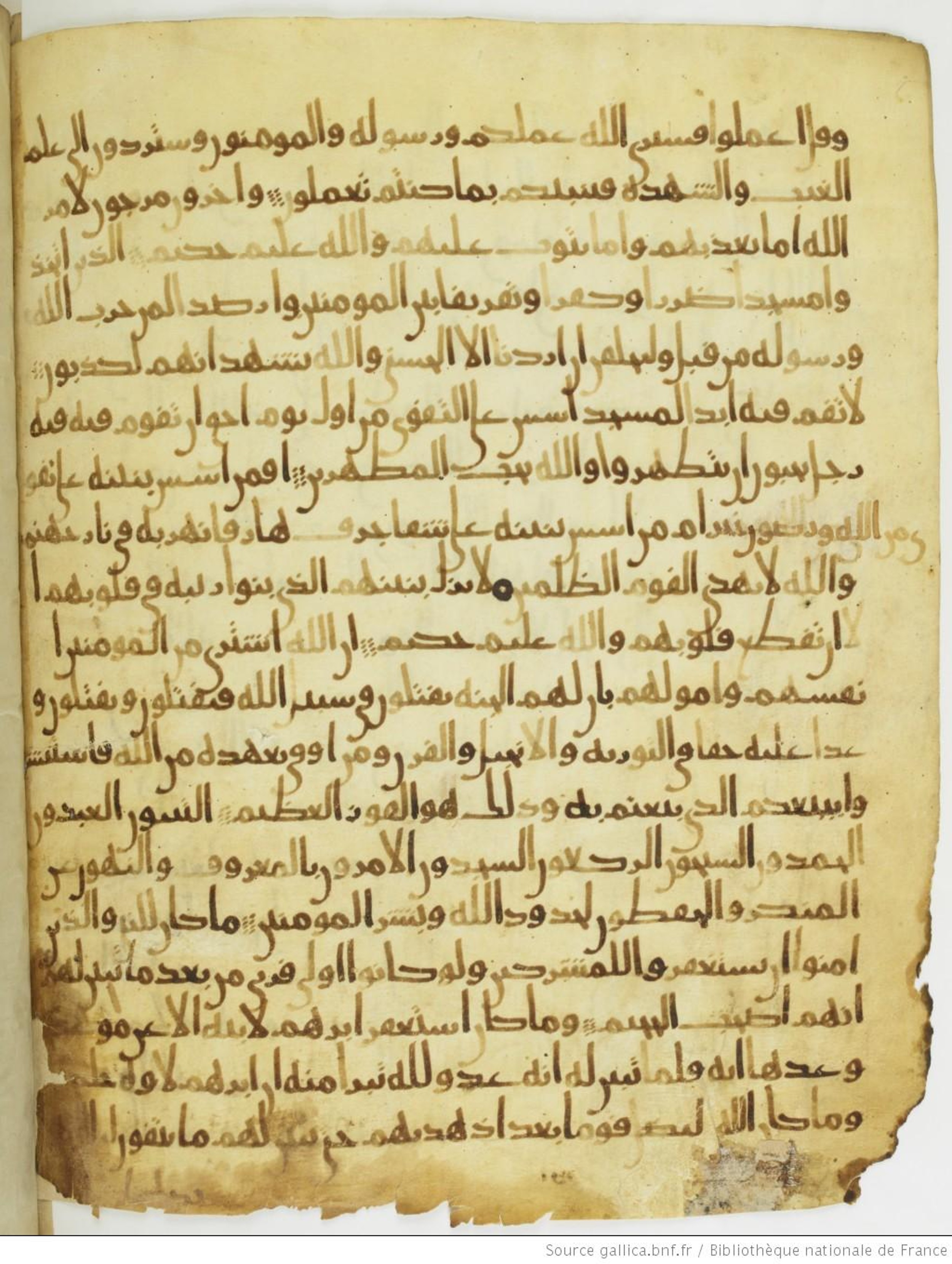 Paris, Bibliothèque nationale de France, Arabe 330 (g), in Unclassified script, showing Surah 9:113 from Mid 8th to Late 9th Century AD found in Fustat (Old Cairo), Egypt, currently housed at Bibliothèque nationale de France, Paris